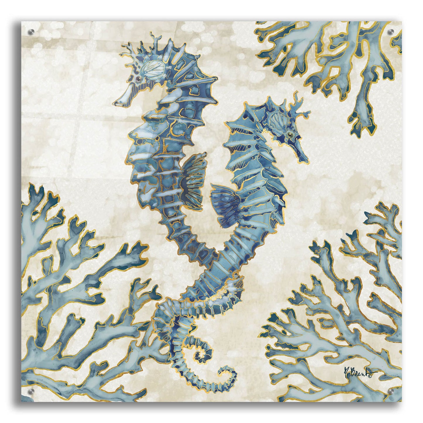 Epic Art 'Playa Sealife IV' by Paul Brent, Acrylic Glass Wall Art