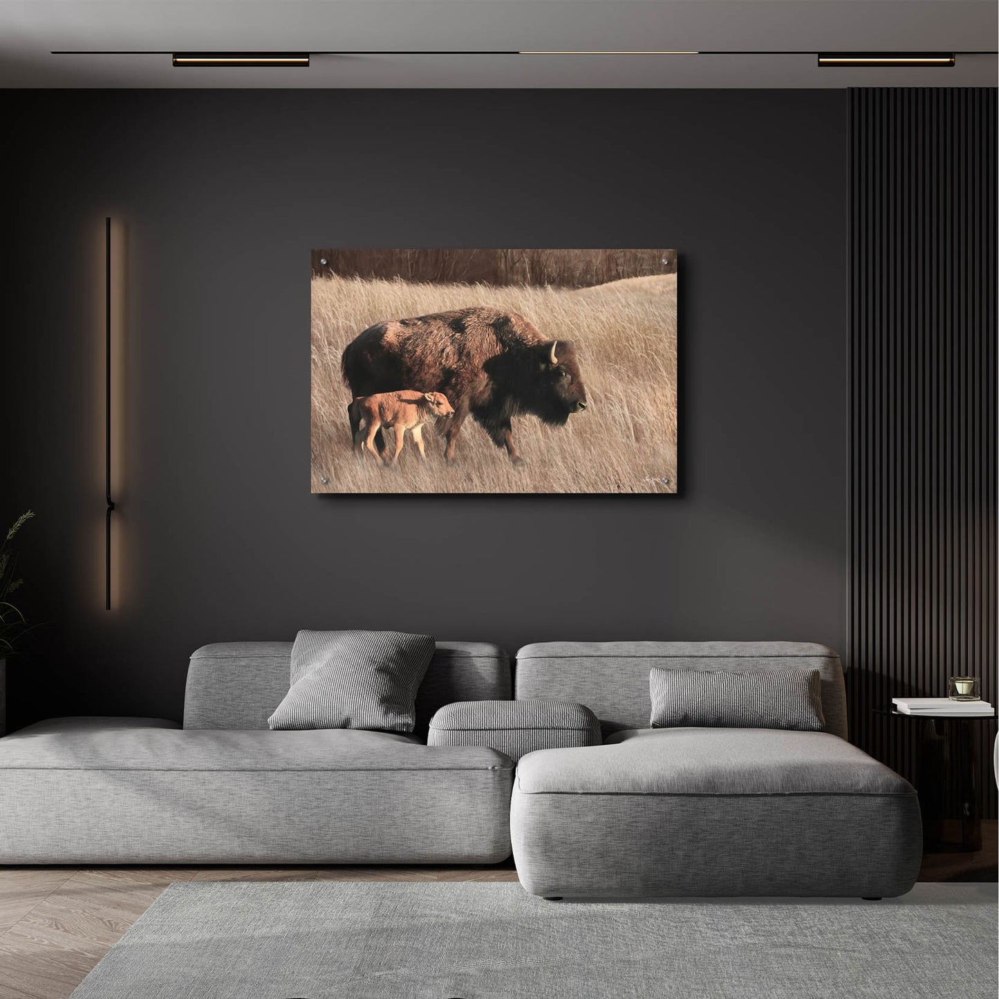 Epic Art 'Bison Mom and Baby' by Lori Deiter, Acrylic Glass Wall Art,36x24