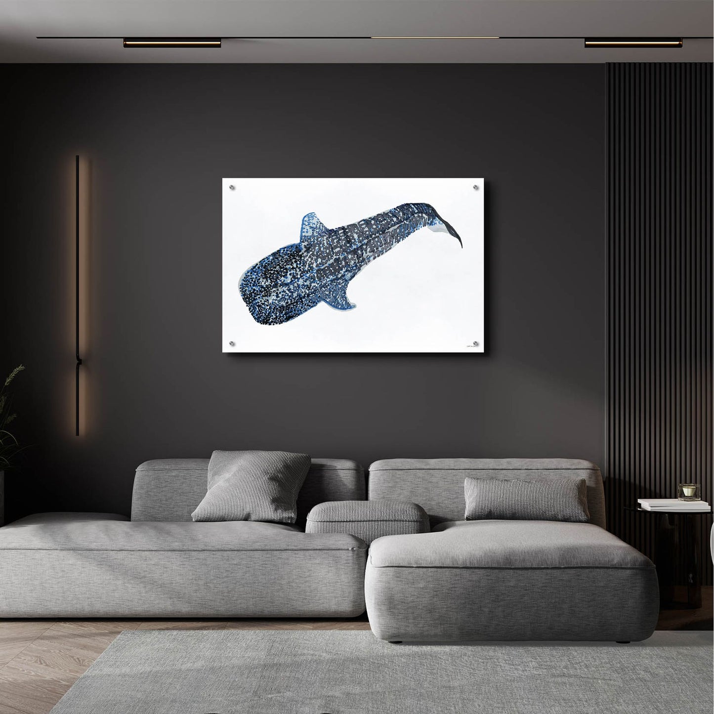 Epic Art 'Shark Whale 2' by Stellar Design Studio, Acrylic Glass Wall Art,36x24