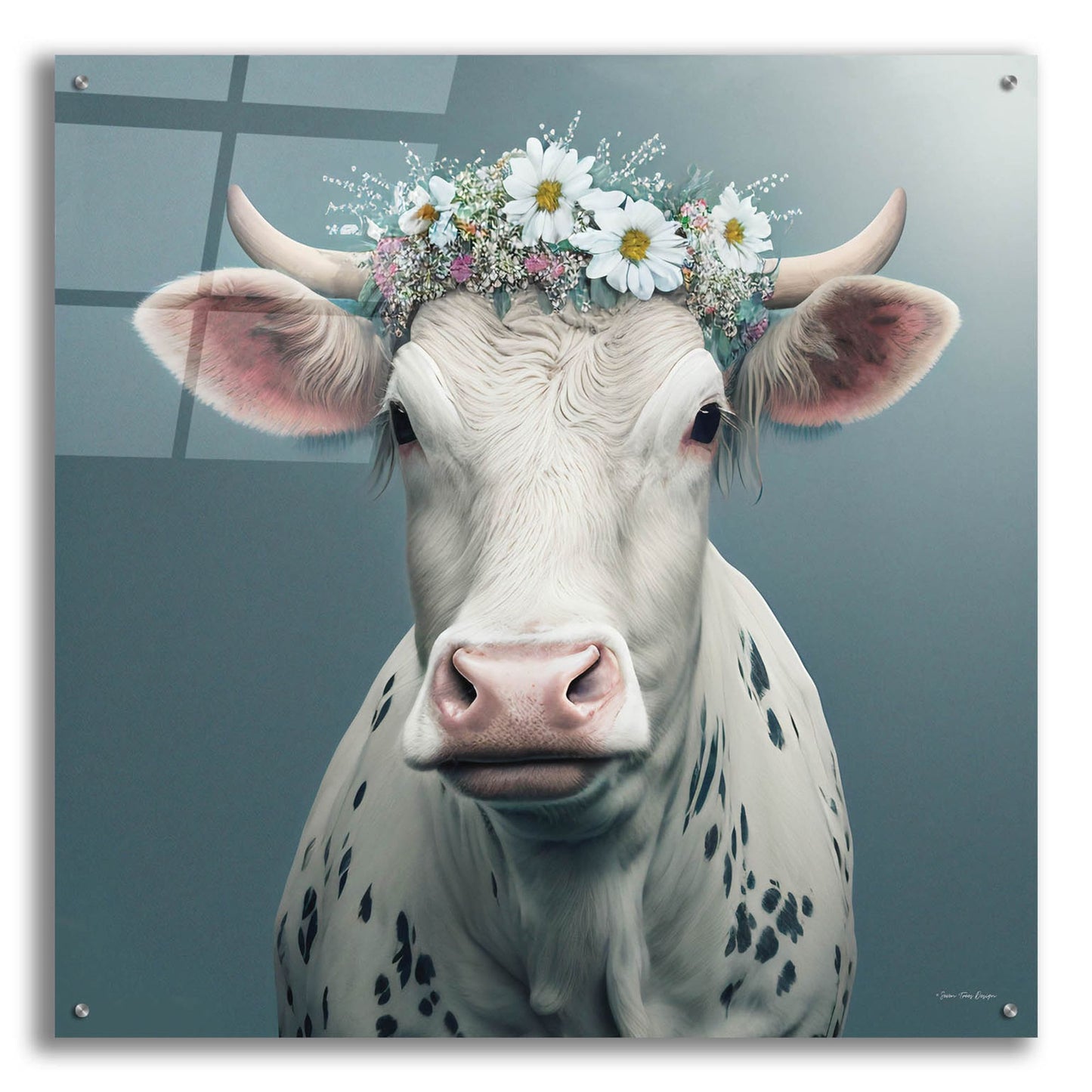 Epic Art 'Bovine Beauty' by Seven Trees Designs, Acrylic Glass Wall Art