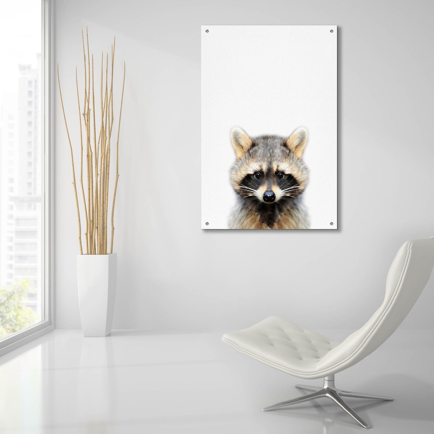 Epic Art 'Raccoon' by Tai Prints, Acrylic Glass Wall Art,24x36