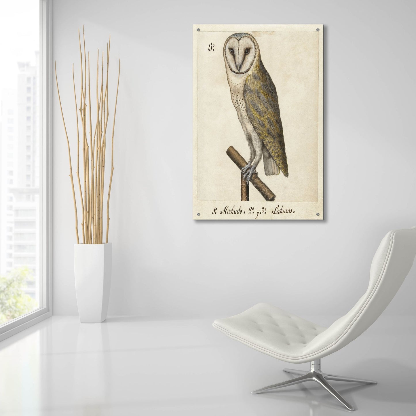 Epic Art 'Barn Owl 1560-1585' by Unknown, Acrylic Glass Wall Art,24x36