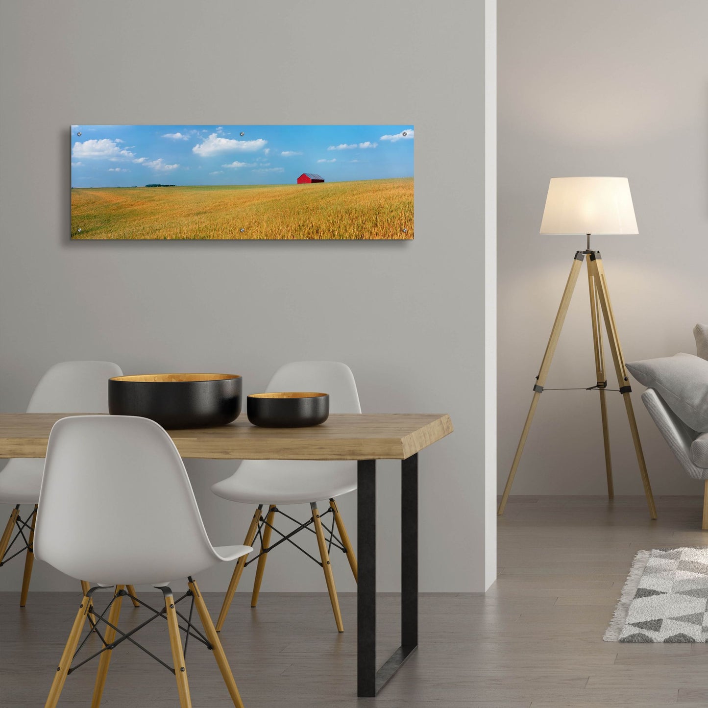 Epic Art 'Heartland' by Steve Vaughn, Acrylic Glass Wall Art,48x16