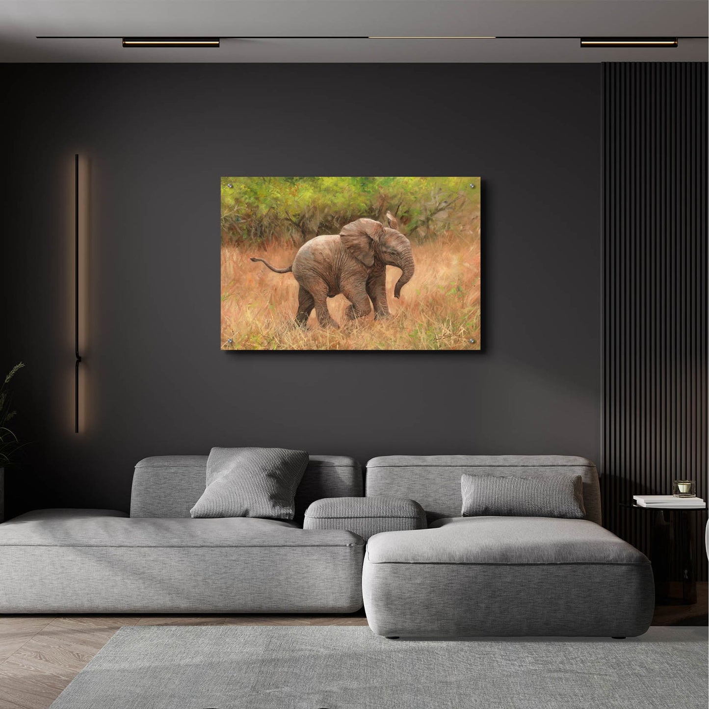 Epic Art 'Baby African Elephant2 by David Stribbling, Acrylic Glass Wall Art,36x24