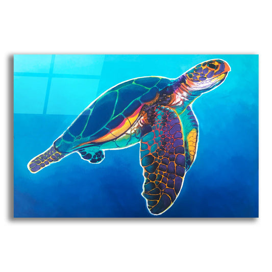 Epic Art 'Sea Turtle - Rainbow2 by Dawg Painter, Acrylic Glass Wall Art