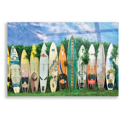 Epic Art 'Surfboards' by Dennis Frates, Acrylic Glass Wall Art