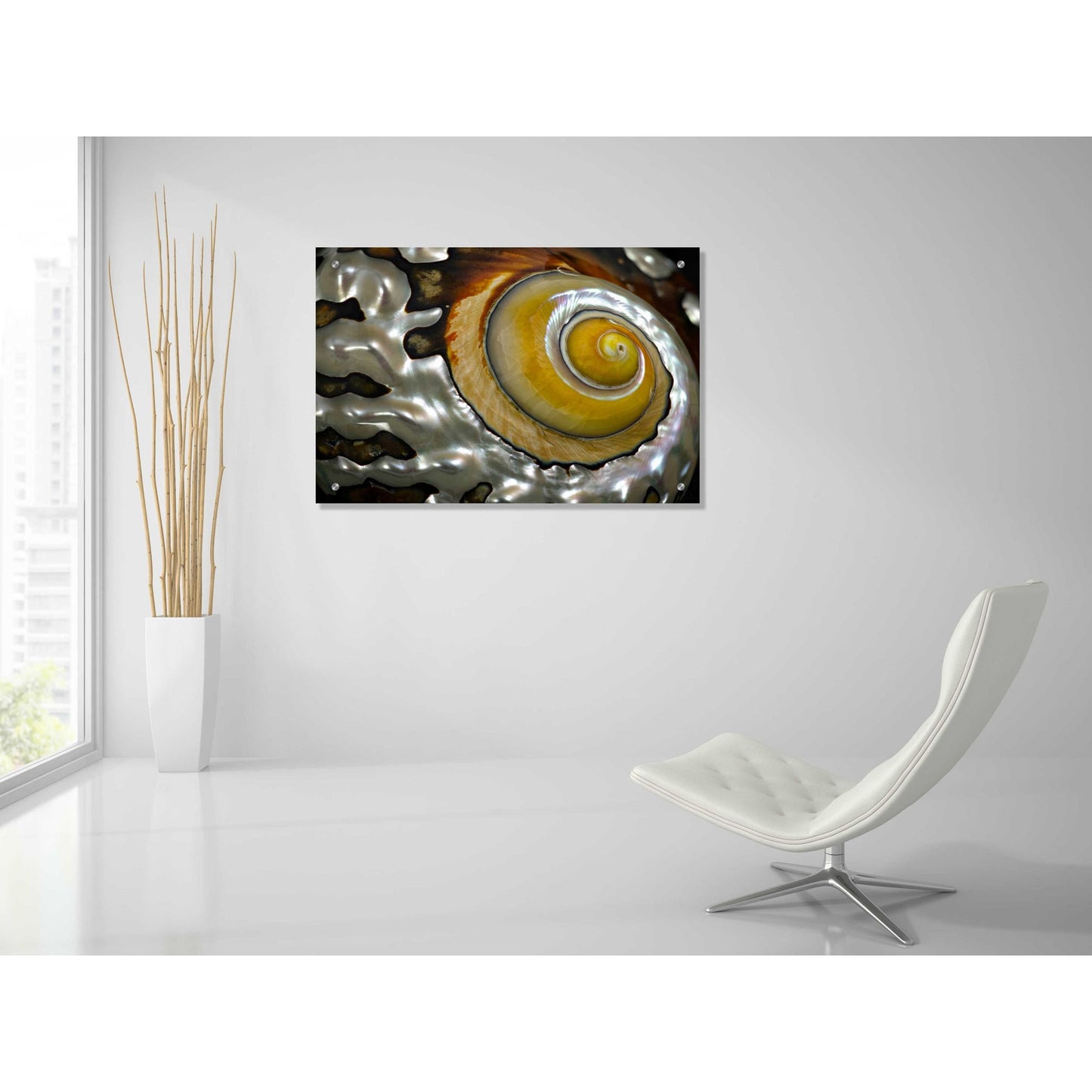 Epic Art 'Shell Spiral II' by Dennis Frates, Acrylic Glass Wall Art,36x24