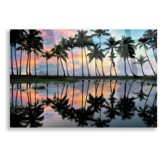 Epic Art 'Palm Reflections' by Dennis Frates, Acrylic Glass Wall Art