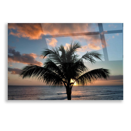 Epic Art 'Palm Tree Sunset II' by Dennis Frates, Acrylic Glass Wall Art