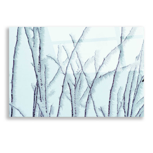 Epic Art 'Icy' by Dennis Frates, Acrylic Glass Wall Art