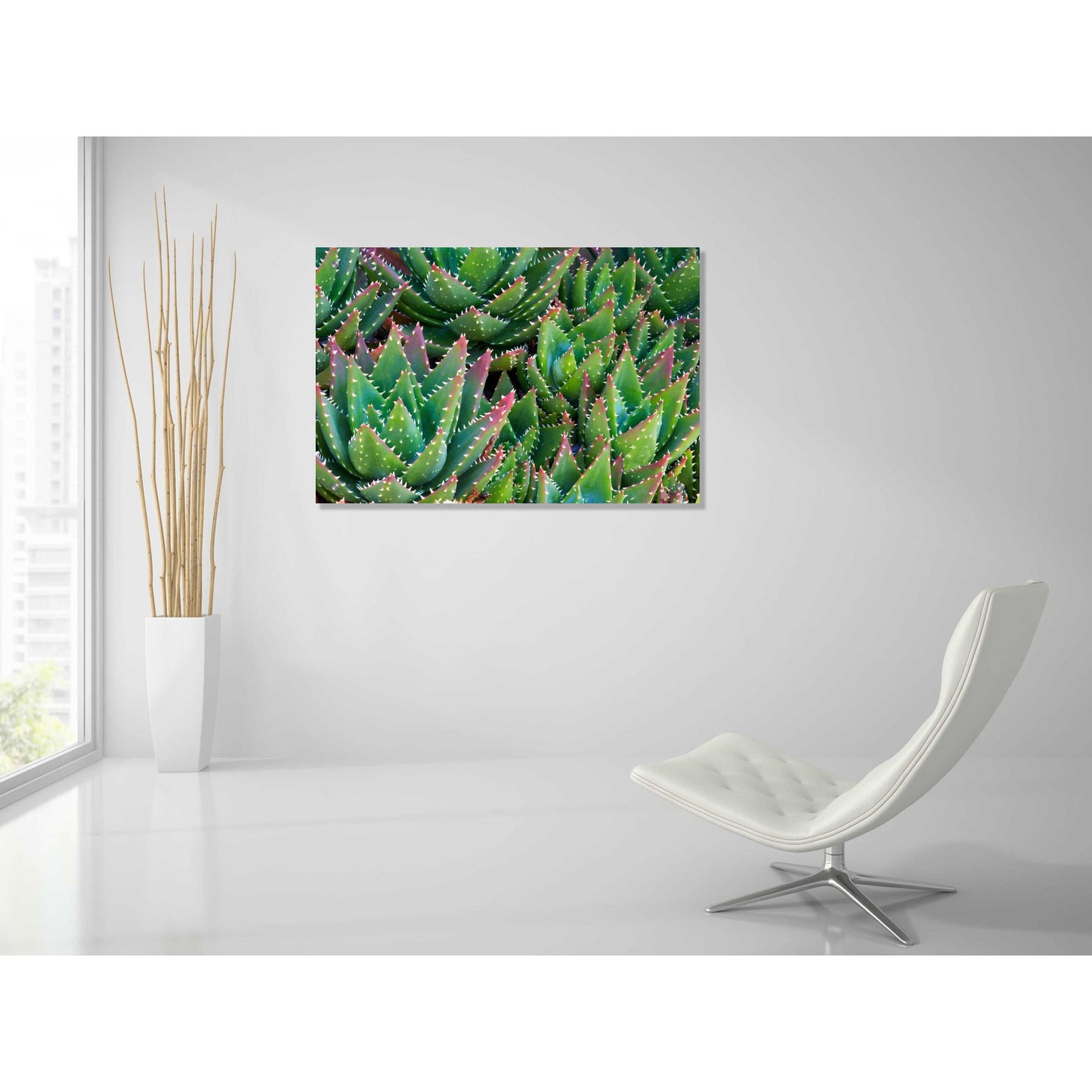 Epic Art 'Succulents II' by Dennis Frates, Acrylic Glass Wall Art,36x24