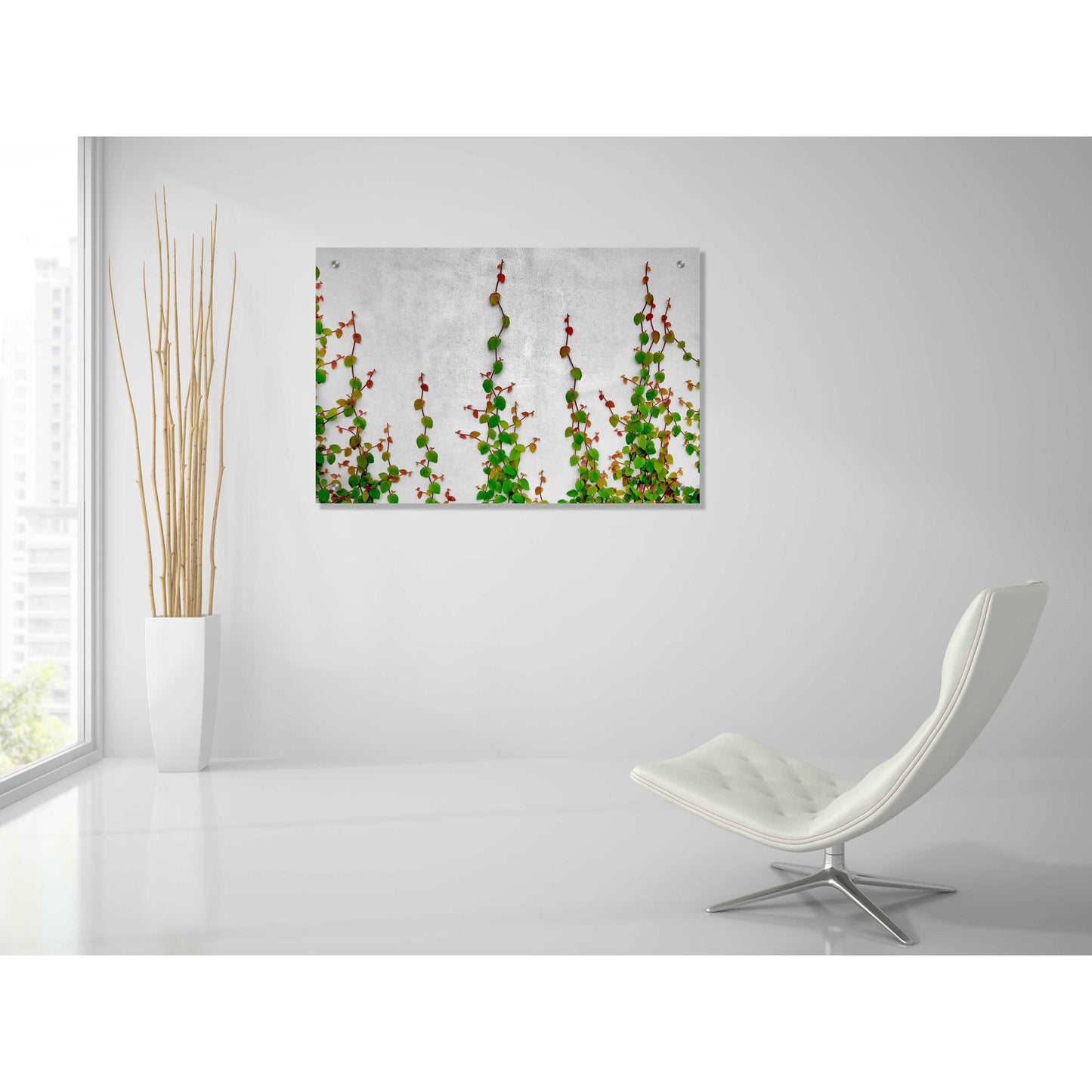 Epic Art 'Vine' by Dennis Frates, Acrylic Glass Wall Art,36x24