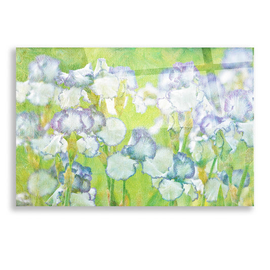 Epic Art 'Lime Floral' by Dennis Frates, Acrylic Glass Wall Art