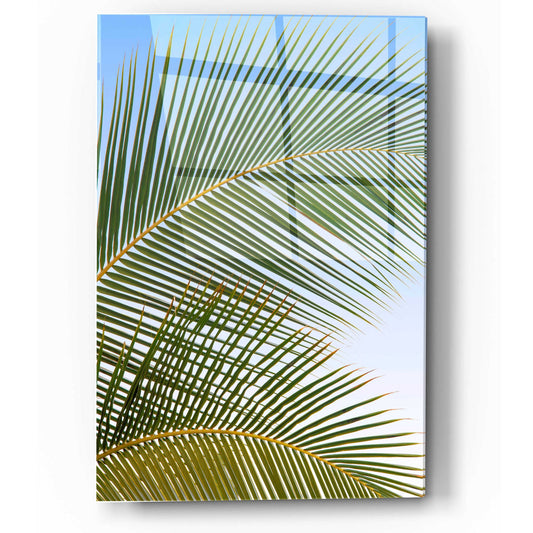 Epic Art 'Tropical II' by Dennis Frates, Acrylic Glass Wall Art