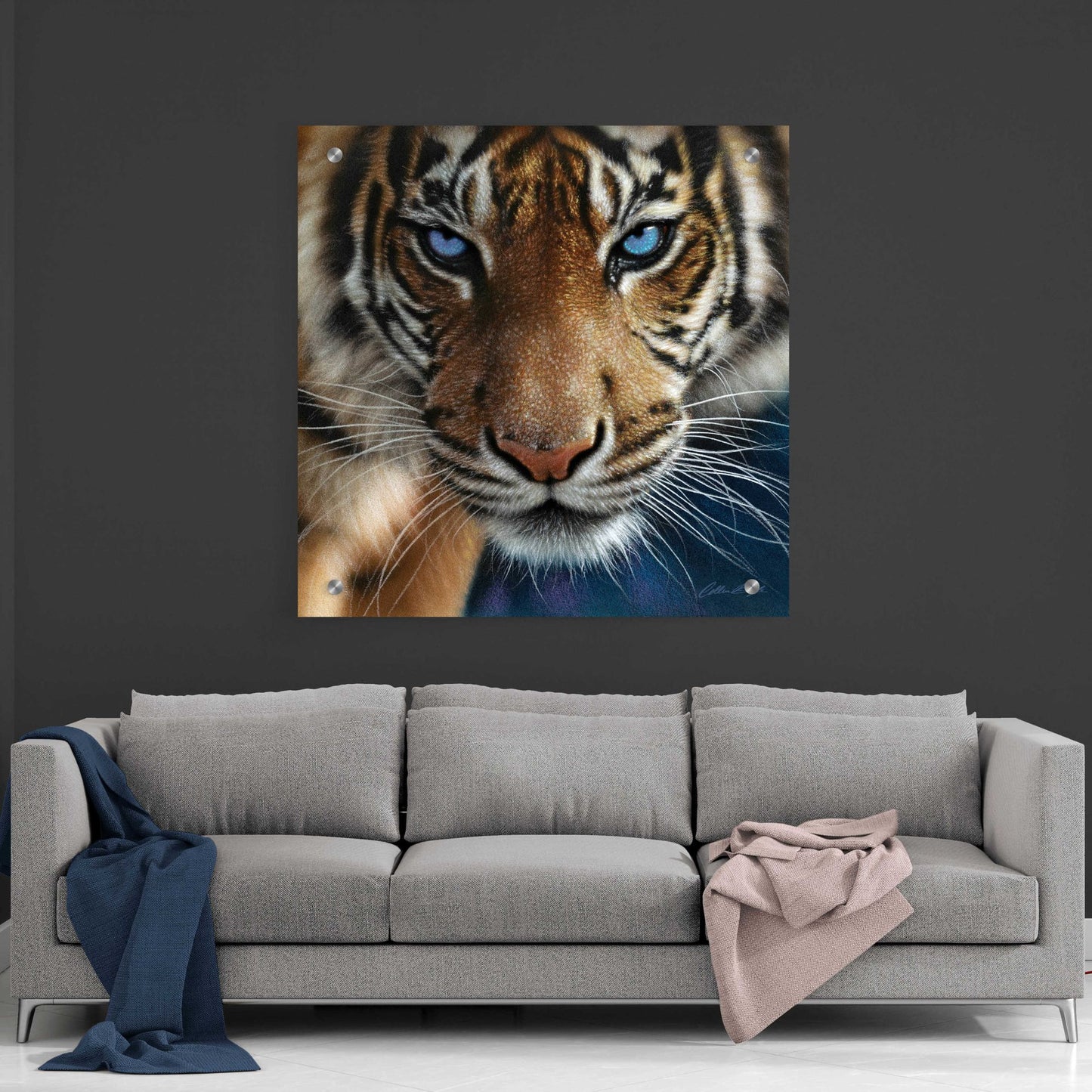 Epic Art 'Blue Eyes' by Collin Bogle Acrylic Glass Wall Art,36x36