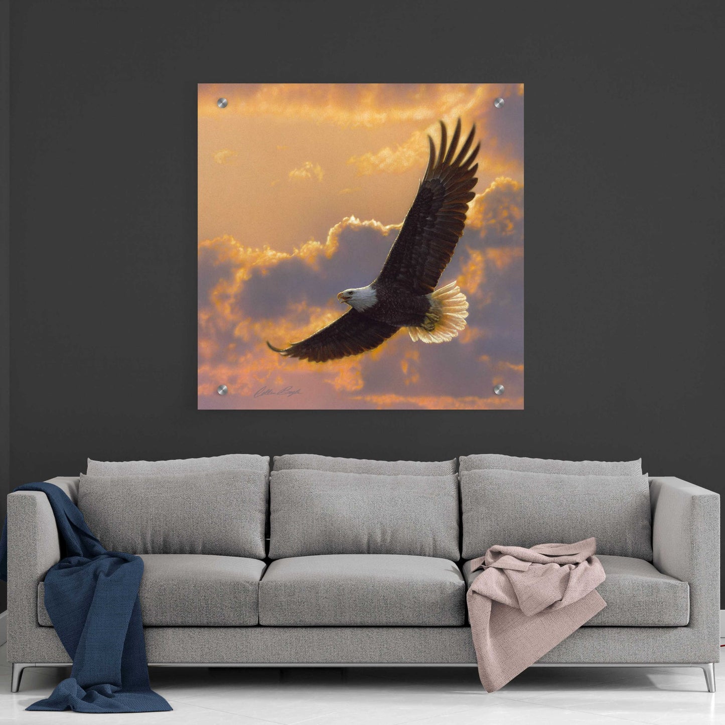 Epic Art 'Soaring Spirit' by Collin Bogle Acrylic Glass Wall Art,36x36