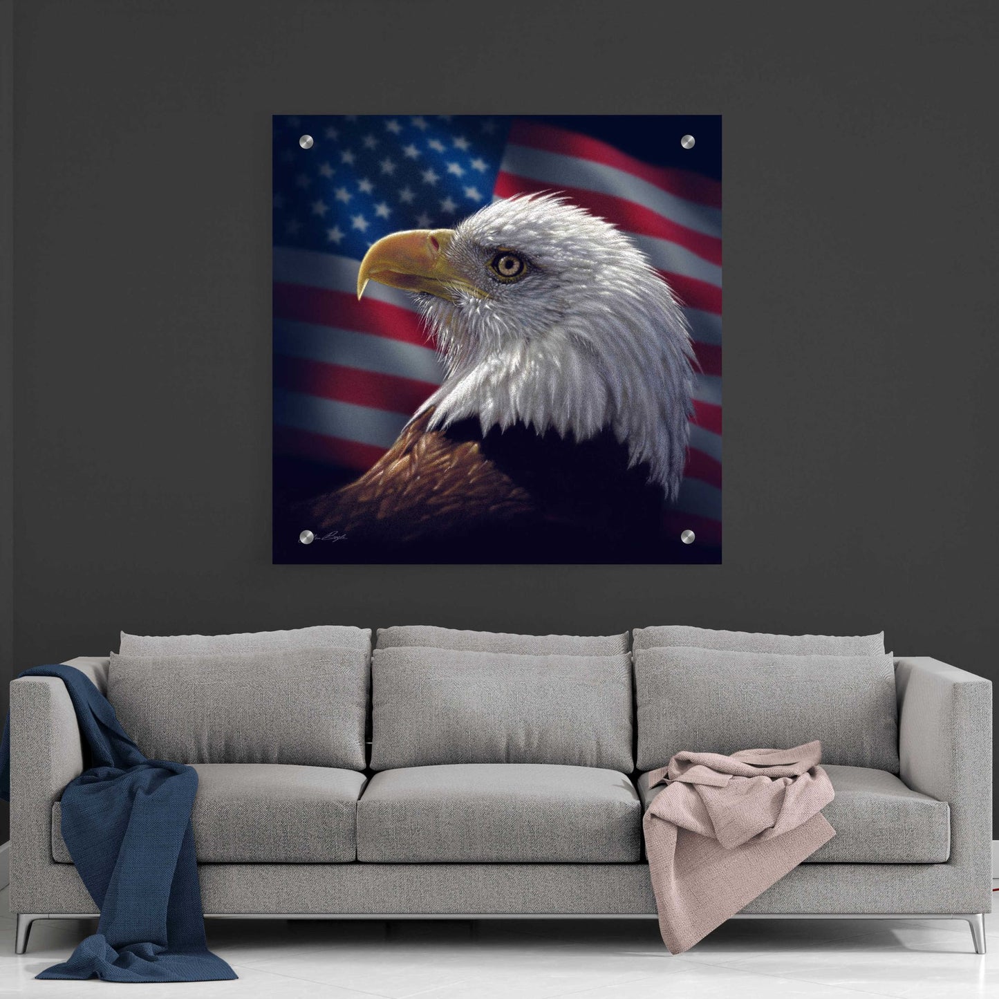 Epic Art 'American Bald Eagle' by Collin Bogle Acrylic Glass Wall Art,36x36