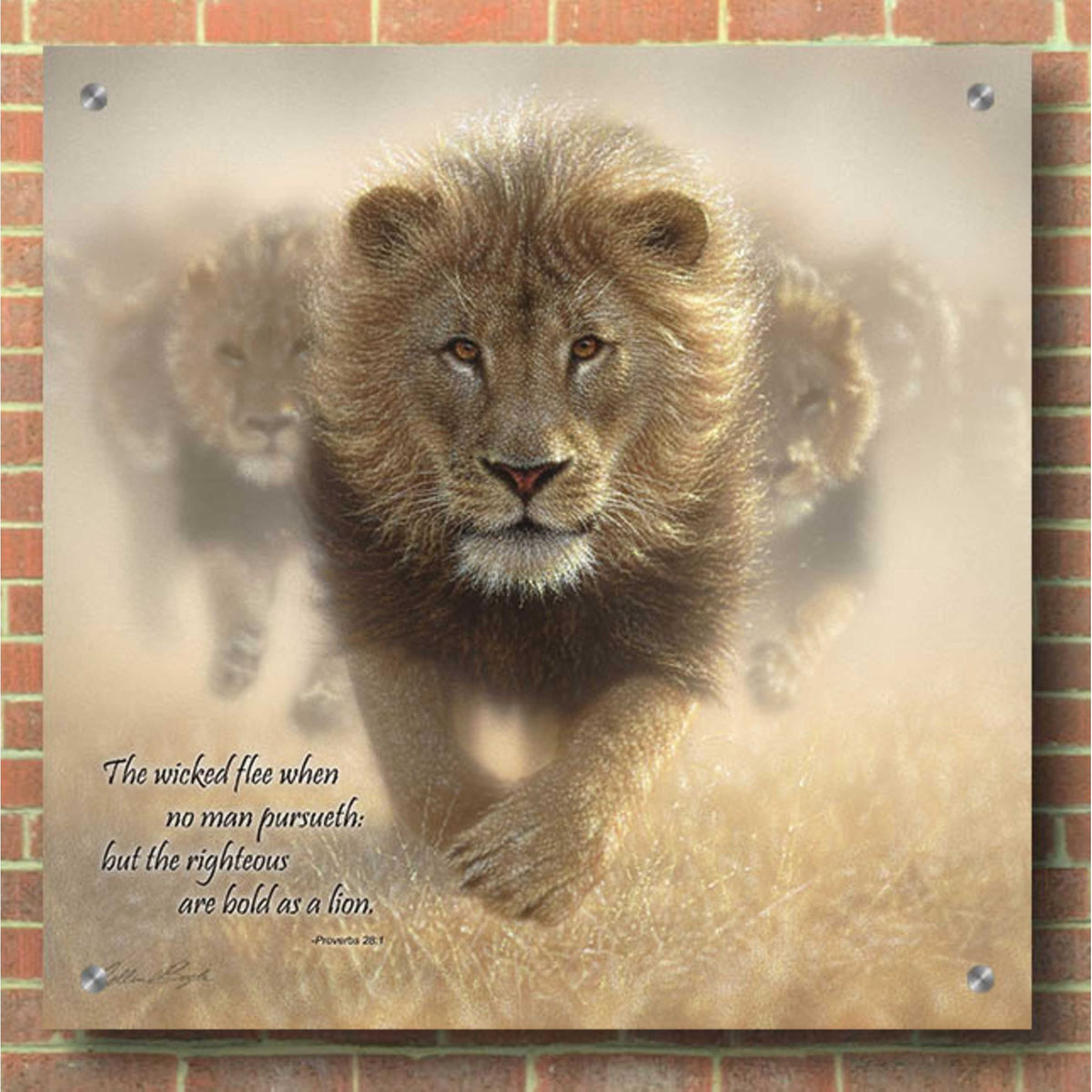 Epic Art 'Wicked Flee' by Collin Bogle Acrylic Glass Wall Art,36x36
