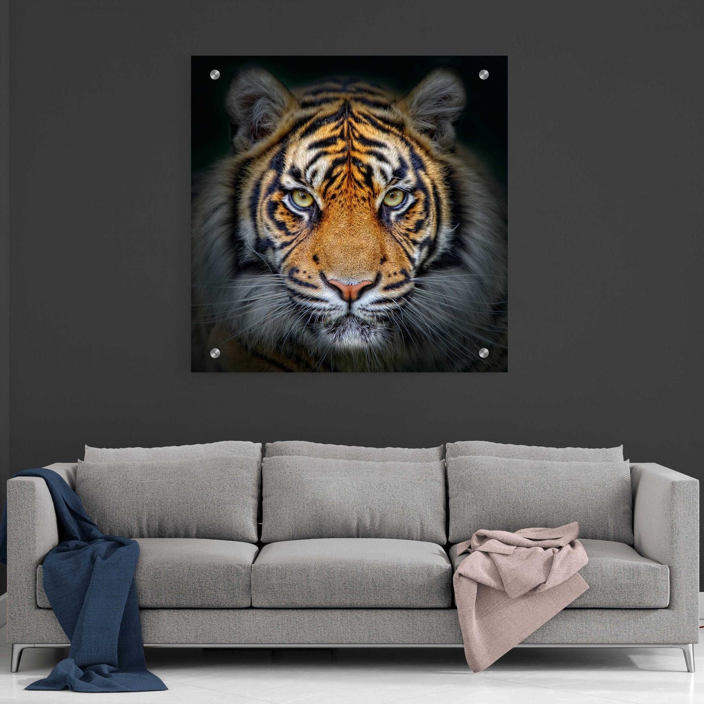 Epic Art 'Wild Side,' Acrylic Glass Wall Art,36x36