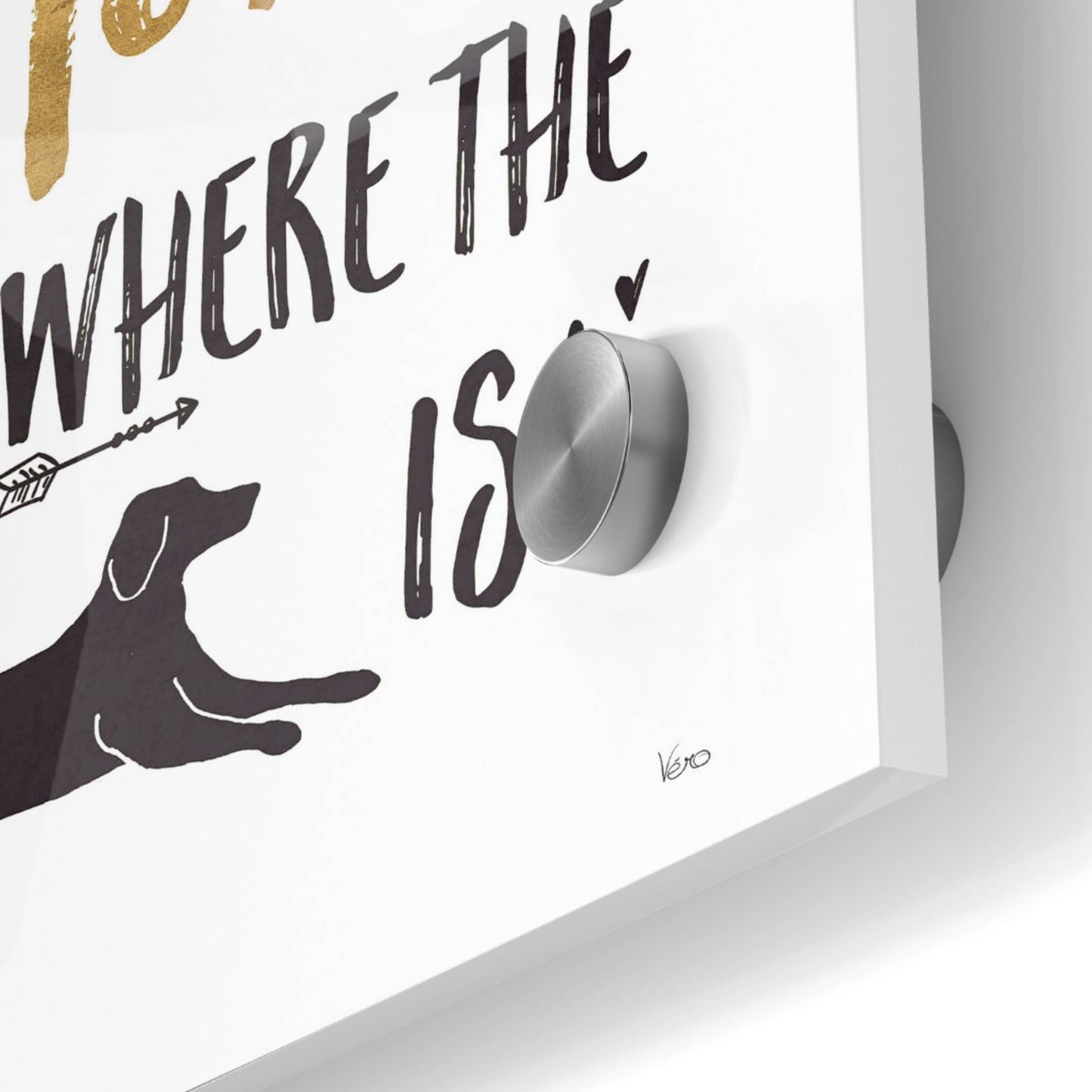 Epic Art 'Pet Love I' by Veronique Charron, Acrylic Glass Wall Art,36x36