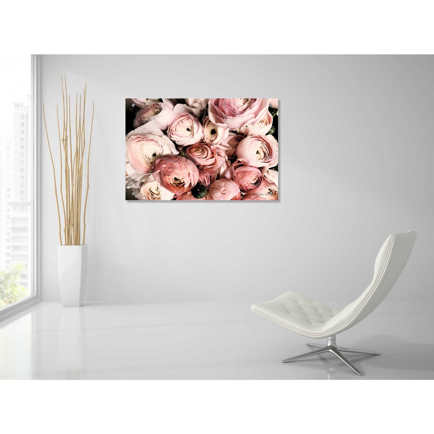 Epic Art 'Coral Ranunculus' by Susan Ball, Acrylic Glass Wall Art,36x24