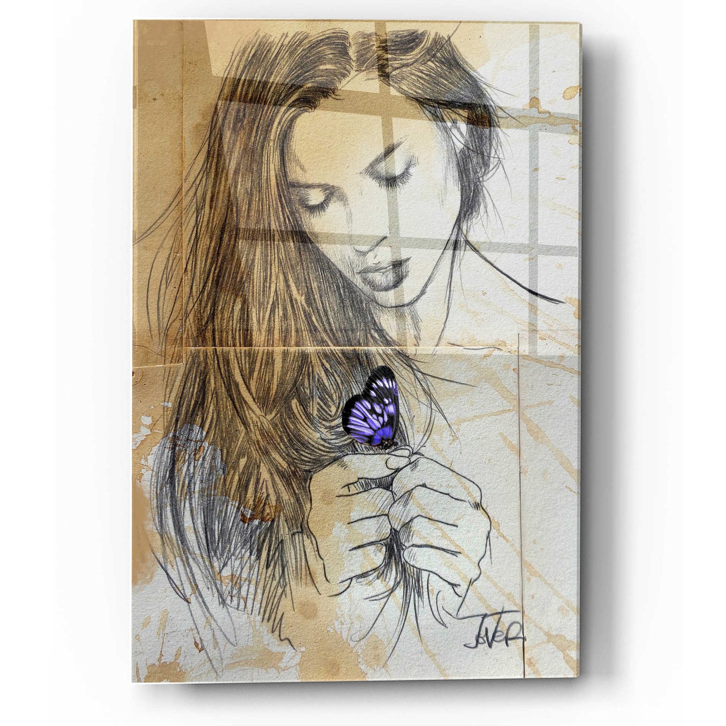 Epic Art 'Blue Butterfly' by Loui Jover, Acrylic Glass Wall Art,36x24