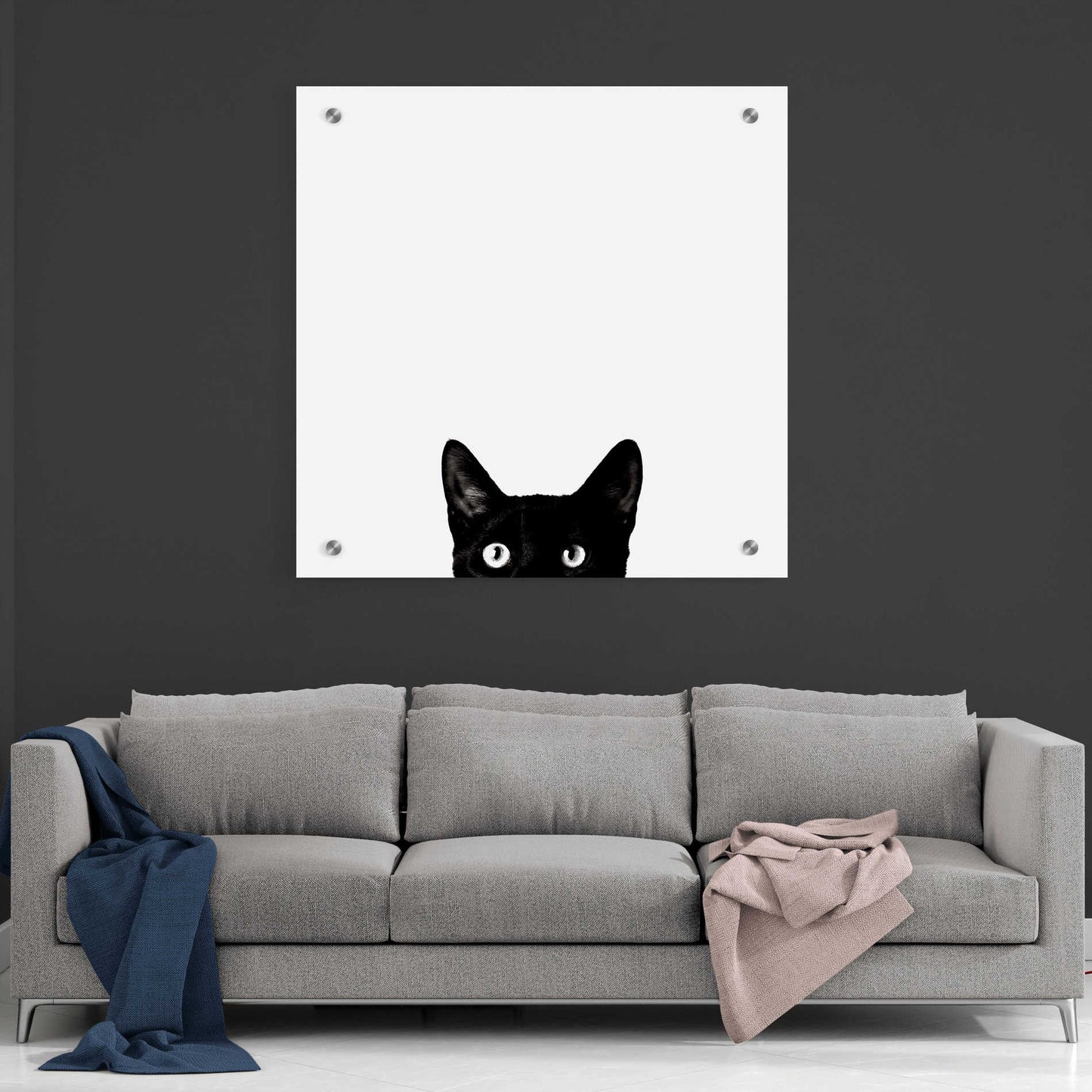 Epic Art 'Curiosity' by Jon Bertelli, Acrylic Glass Wall Art,36x36