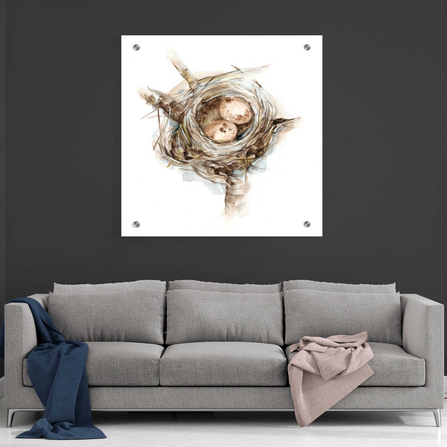 Epic Art 'Bird Nest Study I' by Ethan Harper, Acrylic Glass Wall Art,36x36