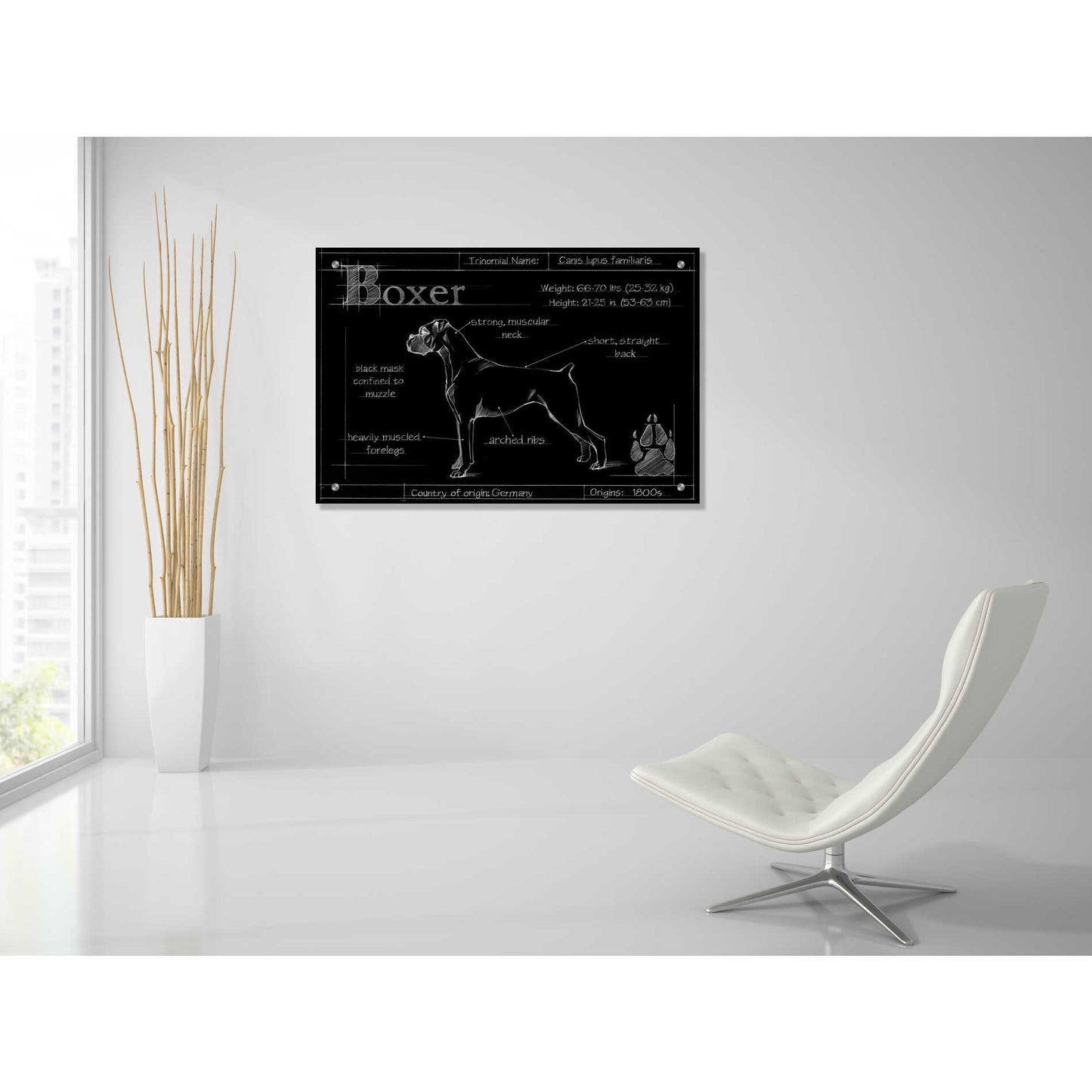 Epic Art 'Blueprint Boxer' by Ethan Harper, Acrylic Glass Wall Art,36x24