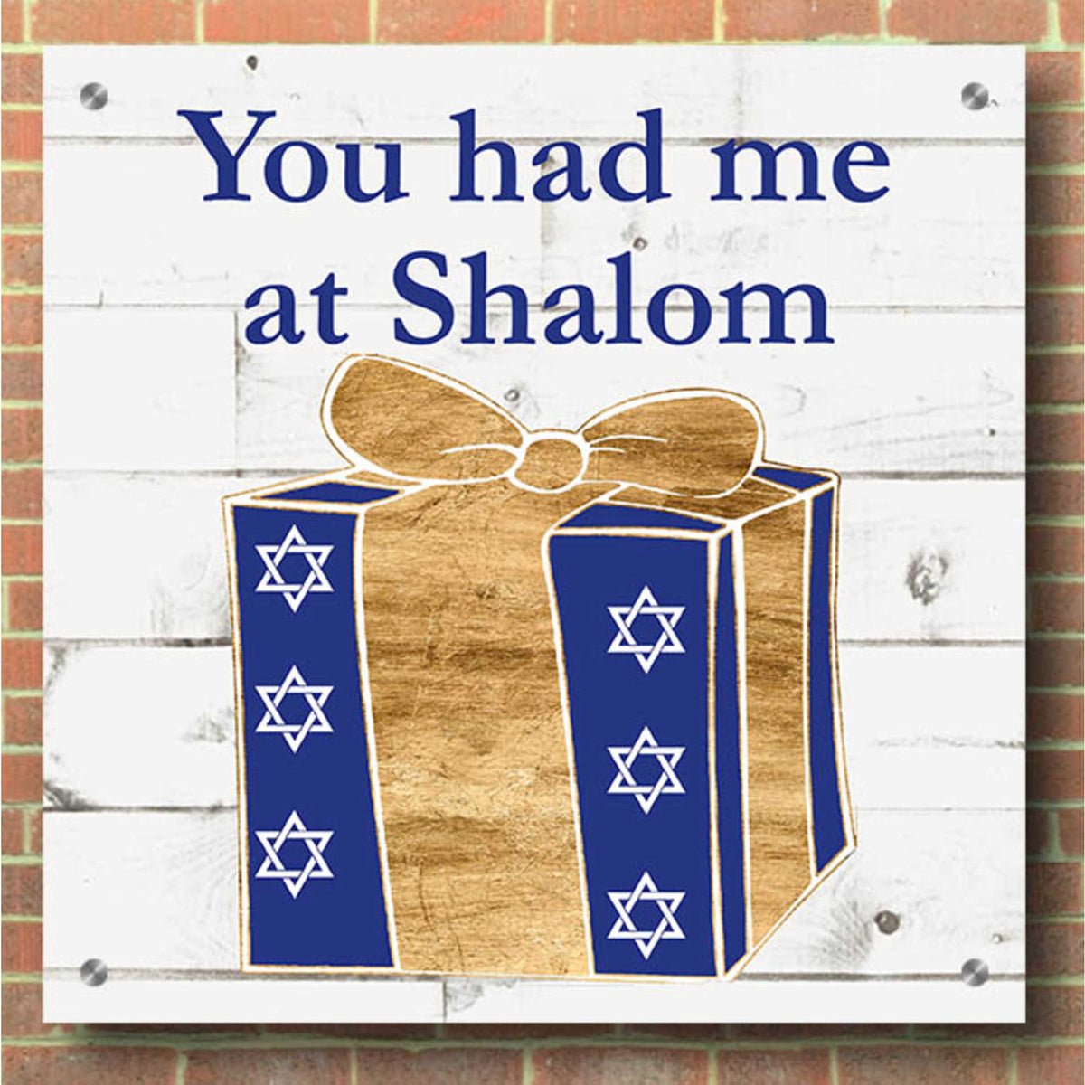 Epic Art 'Punny Hanukkah Collection F' by Alicia Ludwig, Acrylic Glass Wall Art,36x36