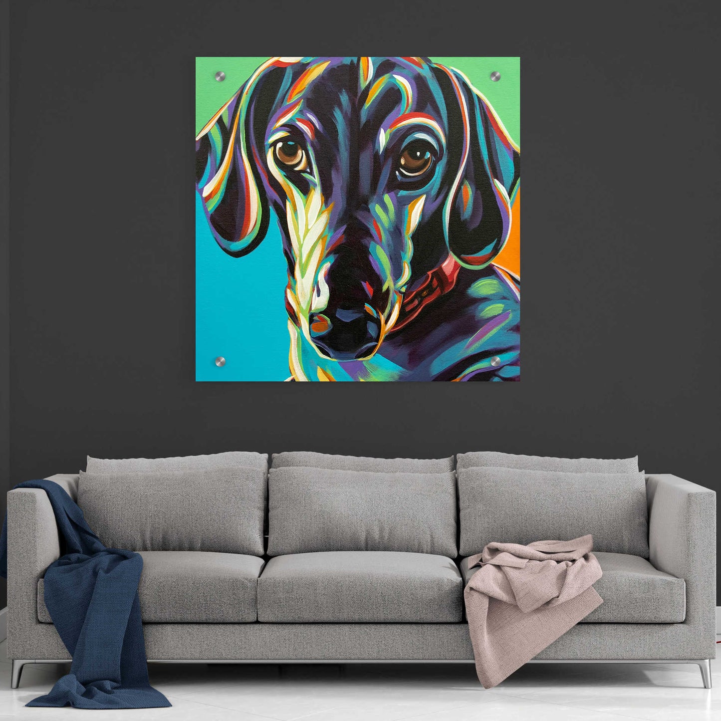 Epic Art 'Painted Dachshund I' by Carolee Vitaletti, Acrylic Glass Wall Art,36x36