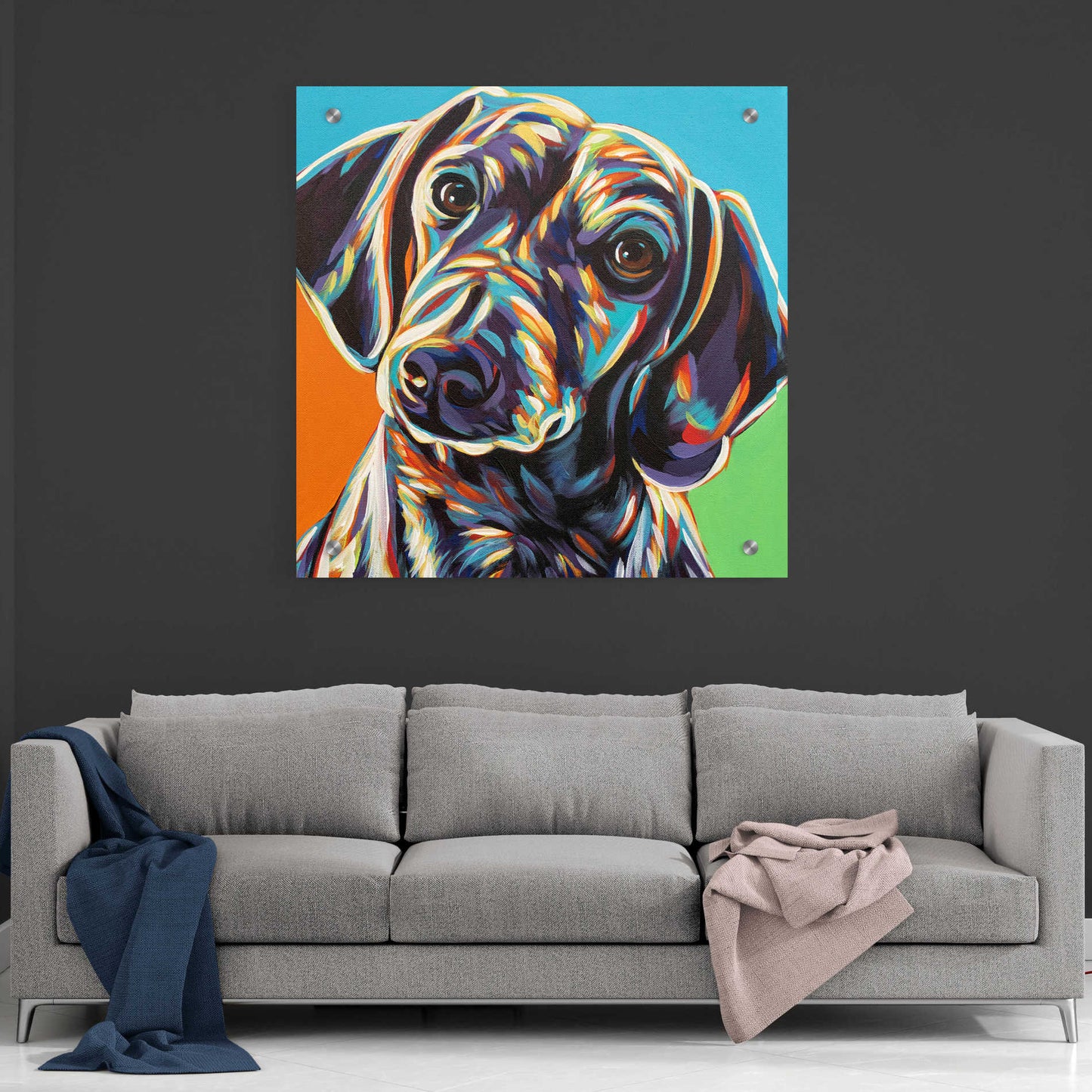 Epic Art 'Painted Dachshund II' by Carolee Vitaletti, Acrylic Glass Wall Art,36x36