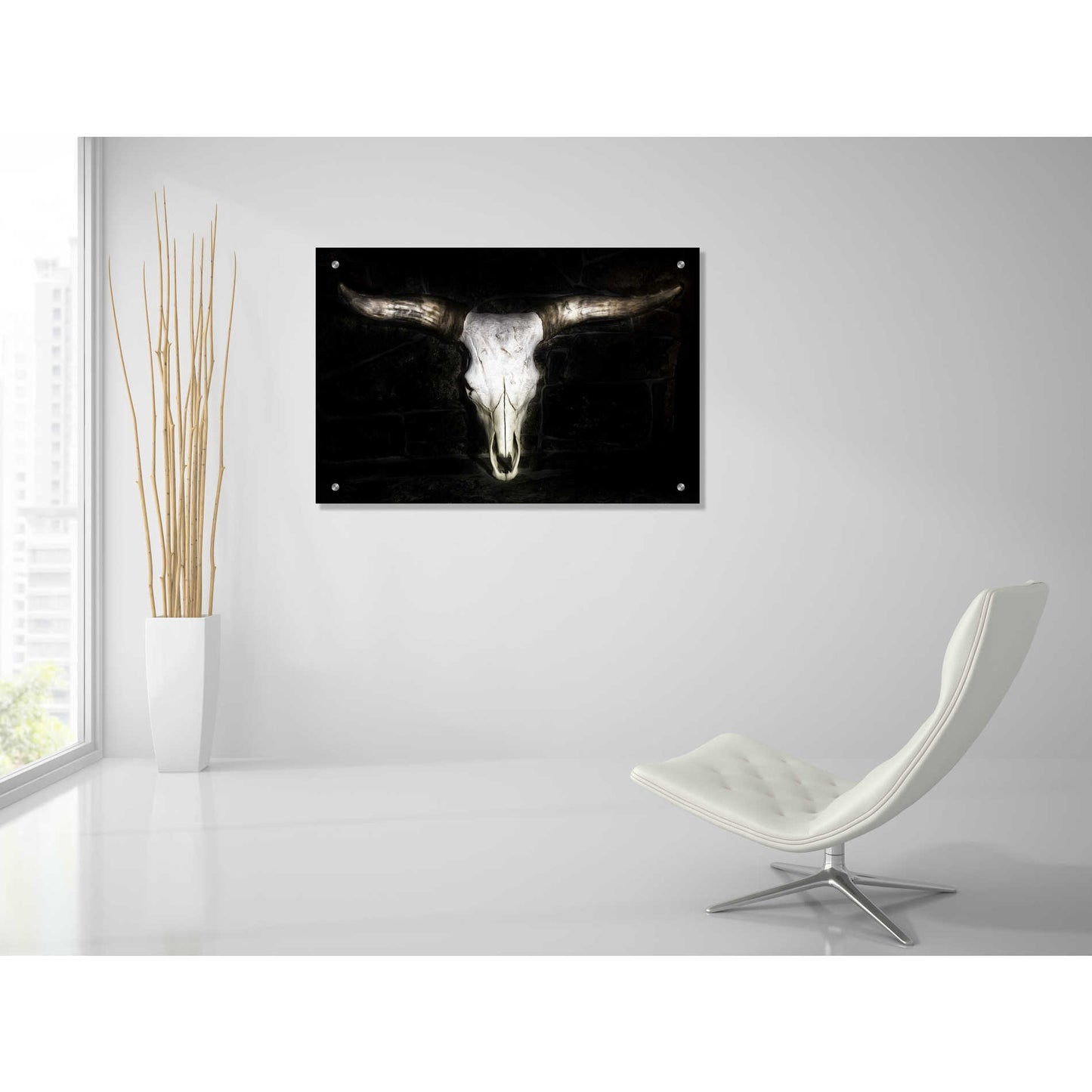 Epic Art 'Cow Skull' by PH Burchett, Acrylic Glass Wall Art,36x24