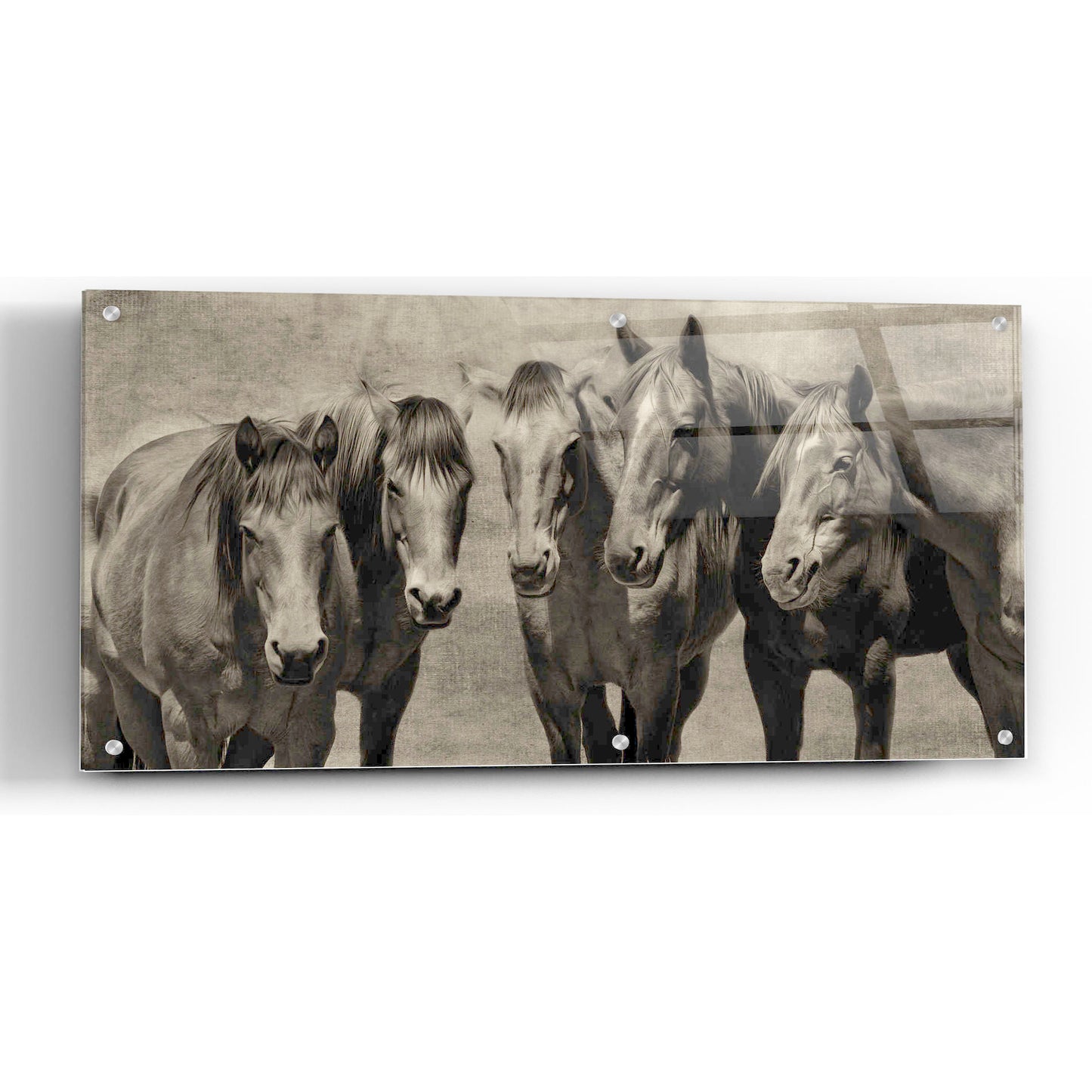 Epic Art 'Meeting of the Minds' by PH Burchett, Acrylic Glass Wall Art,48x24