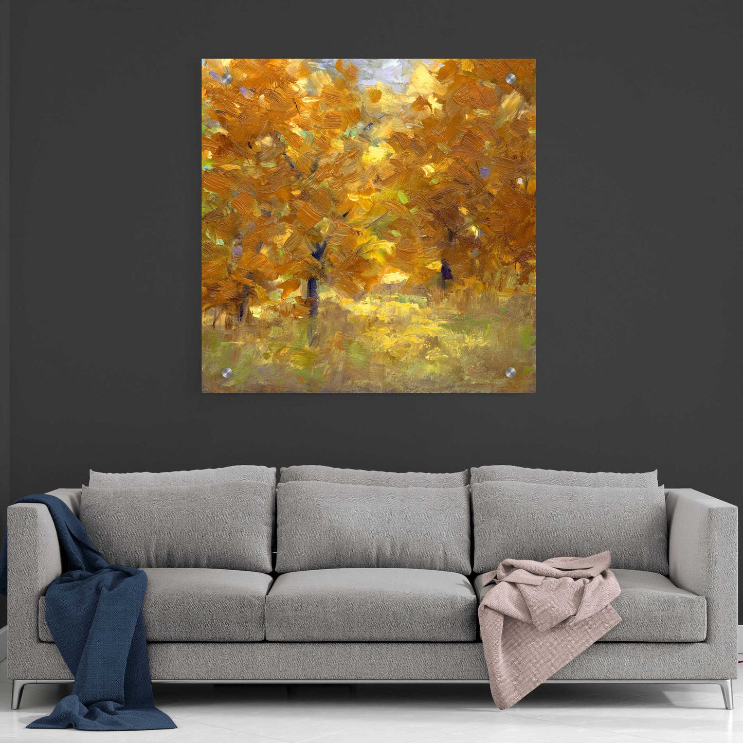 Epic Art 'Cottonwoods' by Sheila Finch, Acrylic Glass Wall Art,36x36