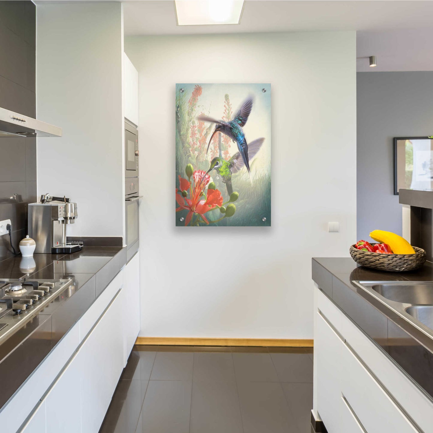 Epic Art 'Hummingbird Cycle I' by Steve Hunziker, Acrylic Glass Wall Art,24x36