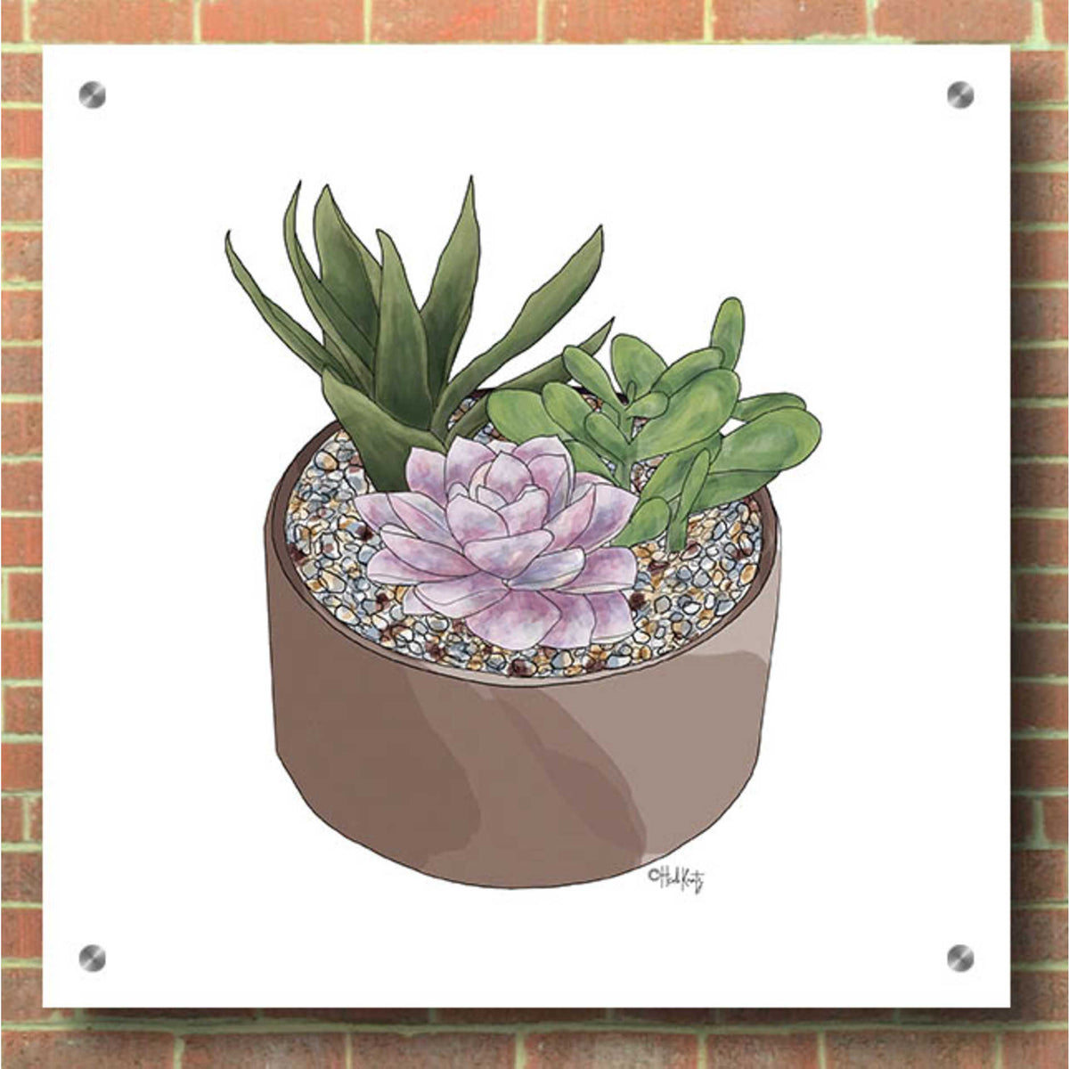 Epic Art 'Succulent Planter I' by Heidi Kuntz, Acrylic Glass Wall Art,36x36
