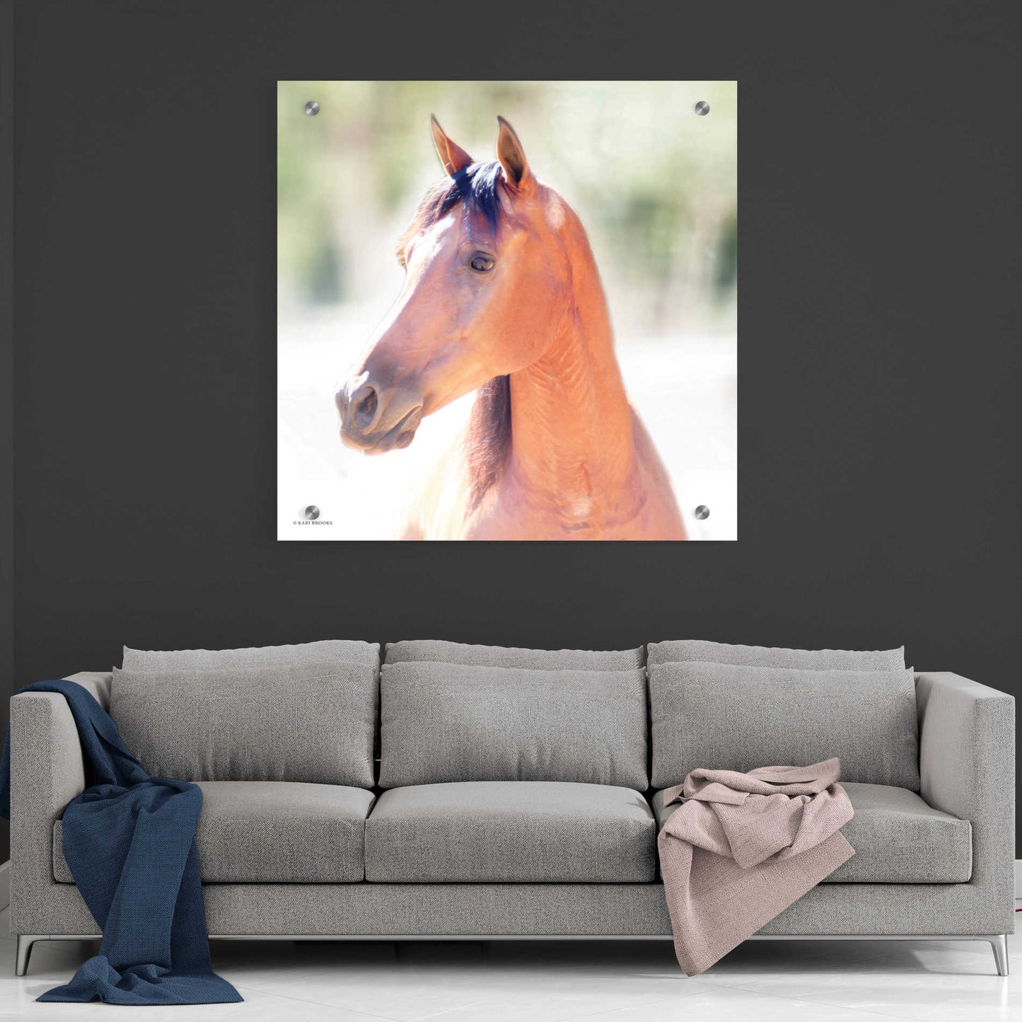 Epic Art 'The Berry' by Kari Brooks, Acrylic Glass Wall Art,36x36