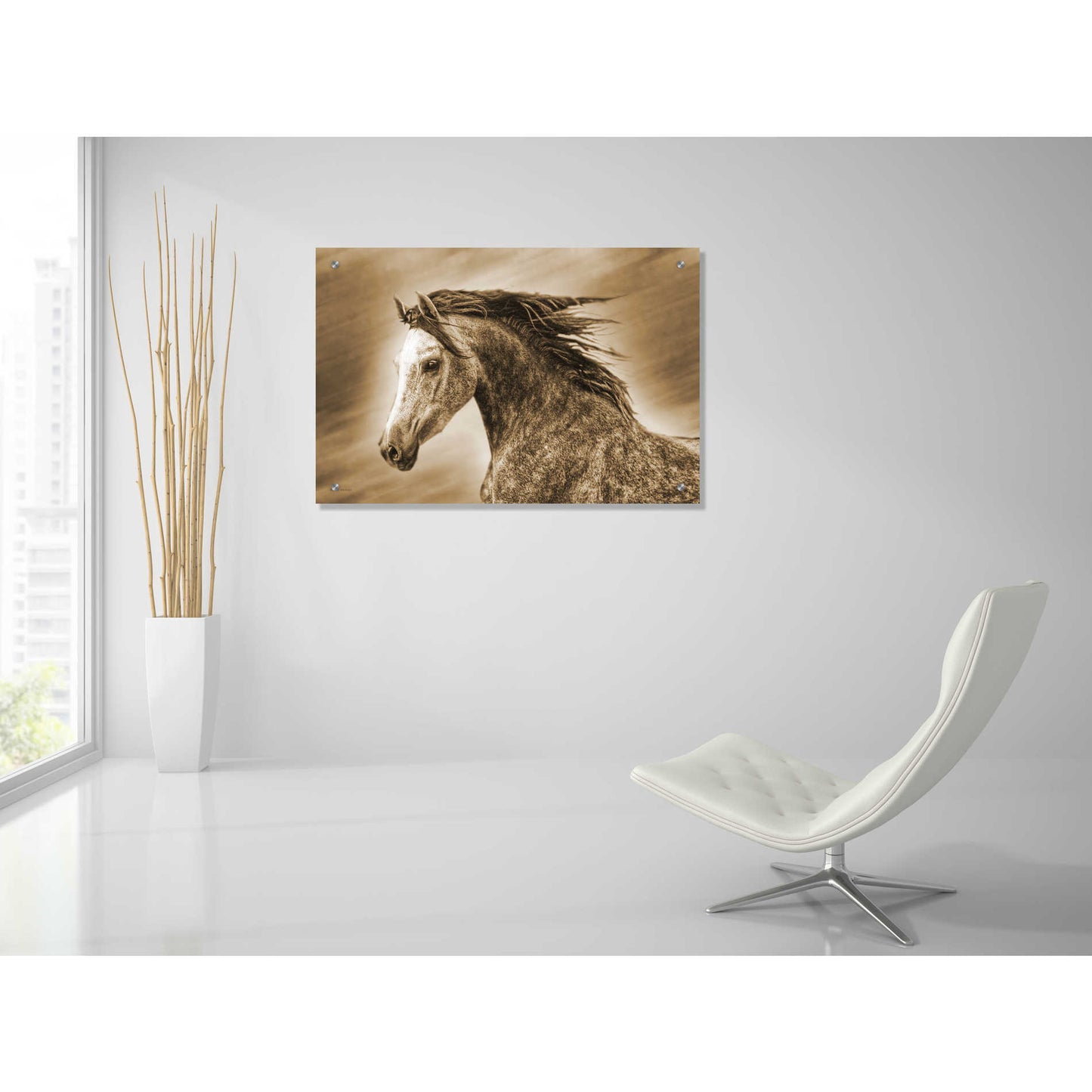 Epic Art 'Addie Gray' by Kari Brooks, Acrylic Glass Wall Art,36x24