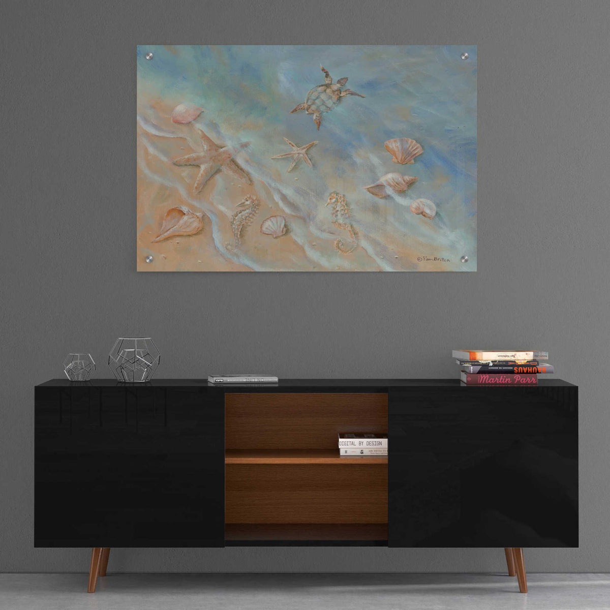 Epic Art 'Seashore Star II' by Pam Britton, Acrylic Glass Wall Art,36x24