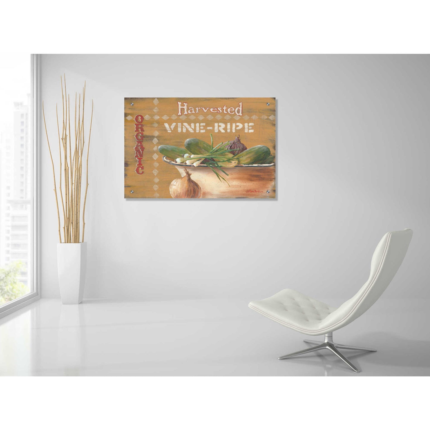 Epic Art 'Vine Ripe' by Pam Britton, Acrylic Glass Wall Art,36x24