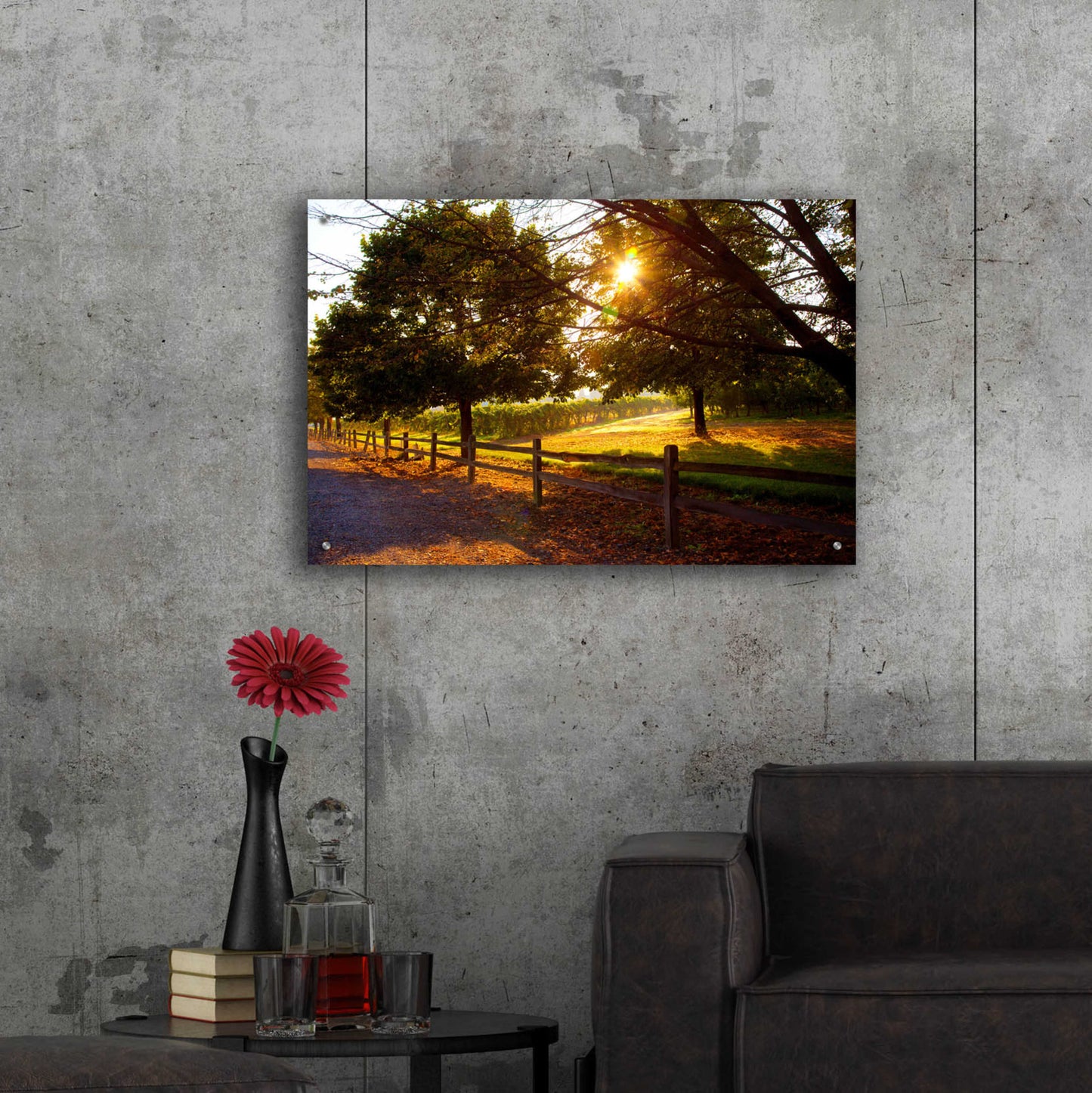 Epic Art 'Dreamland Vineyard' by Michael Broom Acrylic Glass Wall Art,36x24