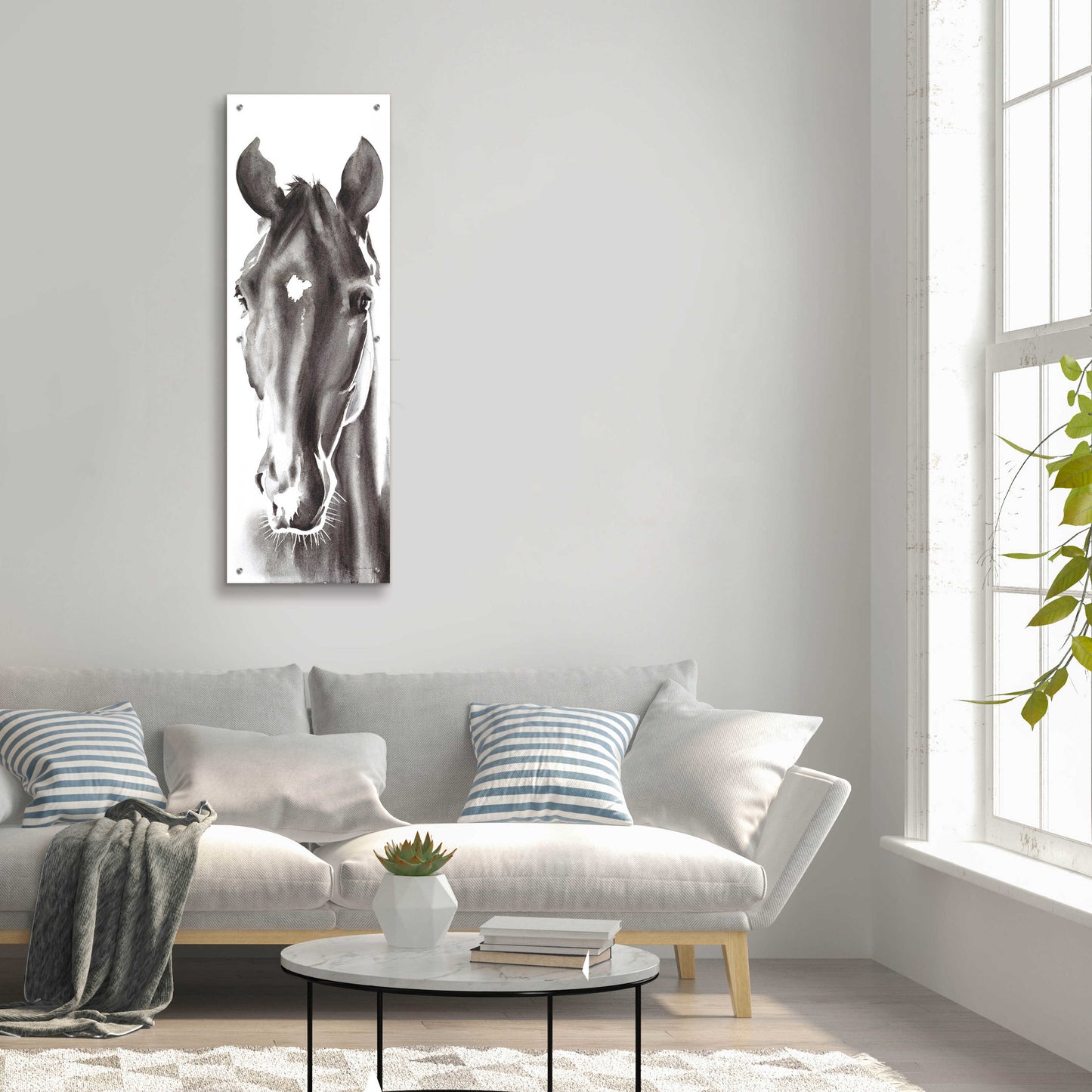 Epic Art 'Le Cheval Noir Horse Panel' by Alan Majchrowicz, Acrylic Glass Wall Art,16x48