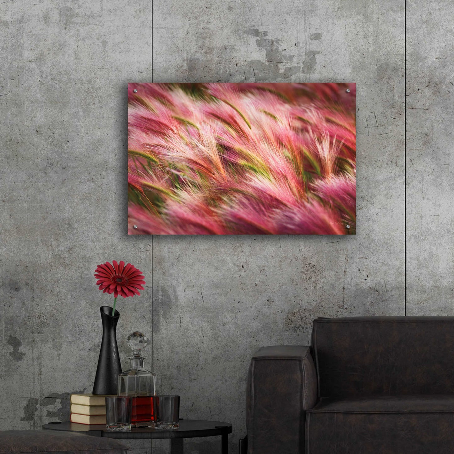 Epic Art 'Foxtail Barley II' by Alan Majchrowicz, Acrylic Glass Wall Art,36x24