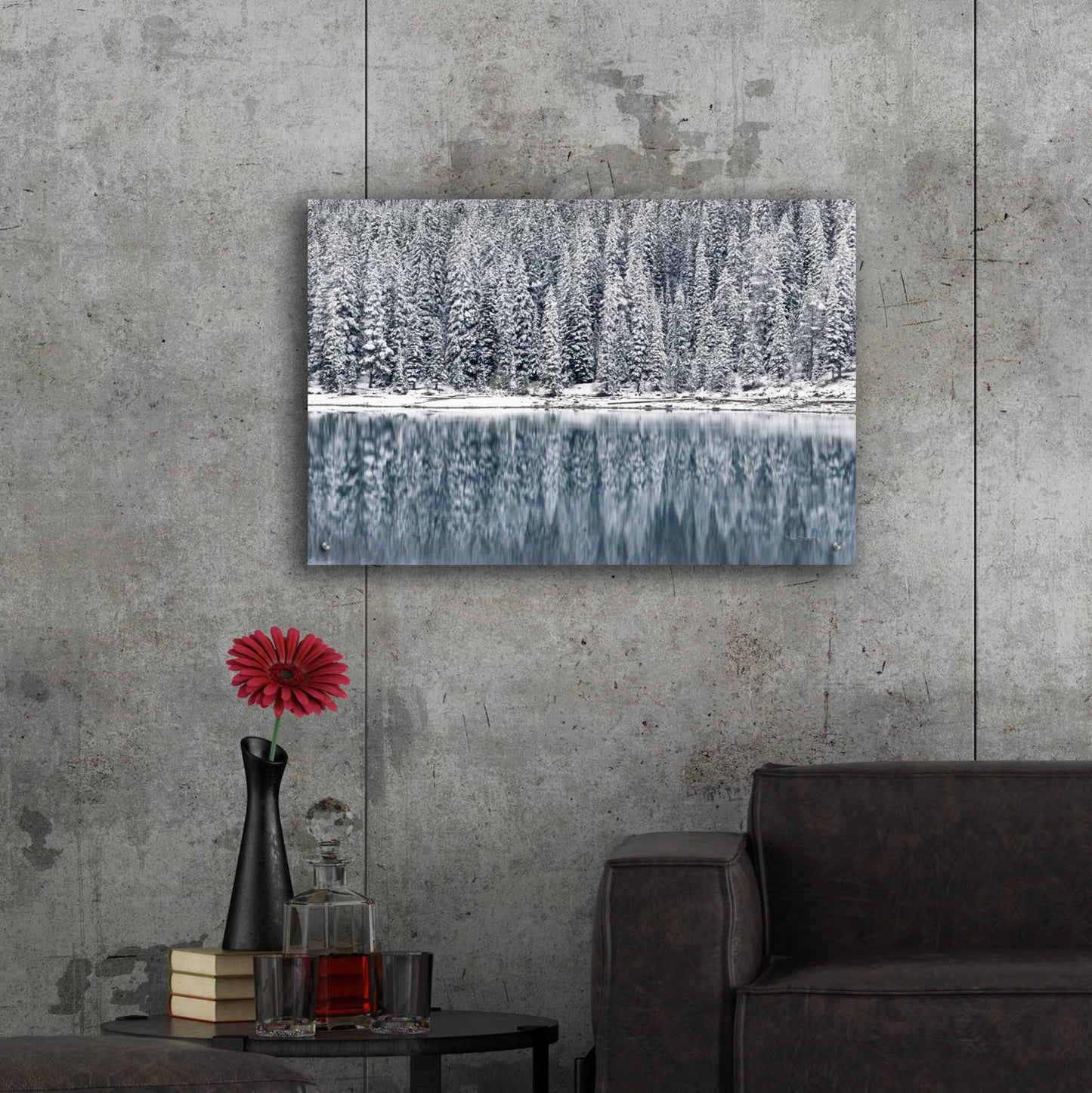 Epic Art 'Winter Reflections' by Alan Majchrowicz, Acrylic Glass Wall Art,36x24