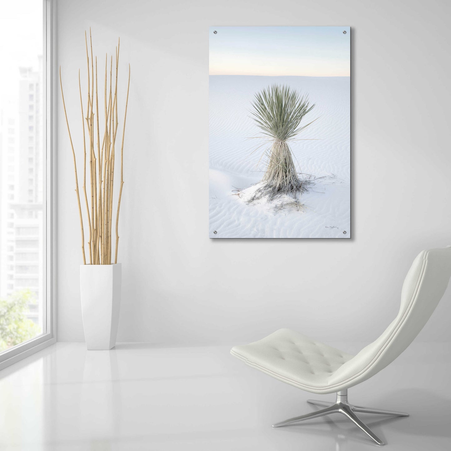 Epic Art 'Yucca in White Sands National Monument' by Alan Majchrowicz, Acrylic Glass Wall Art,24x36