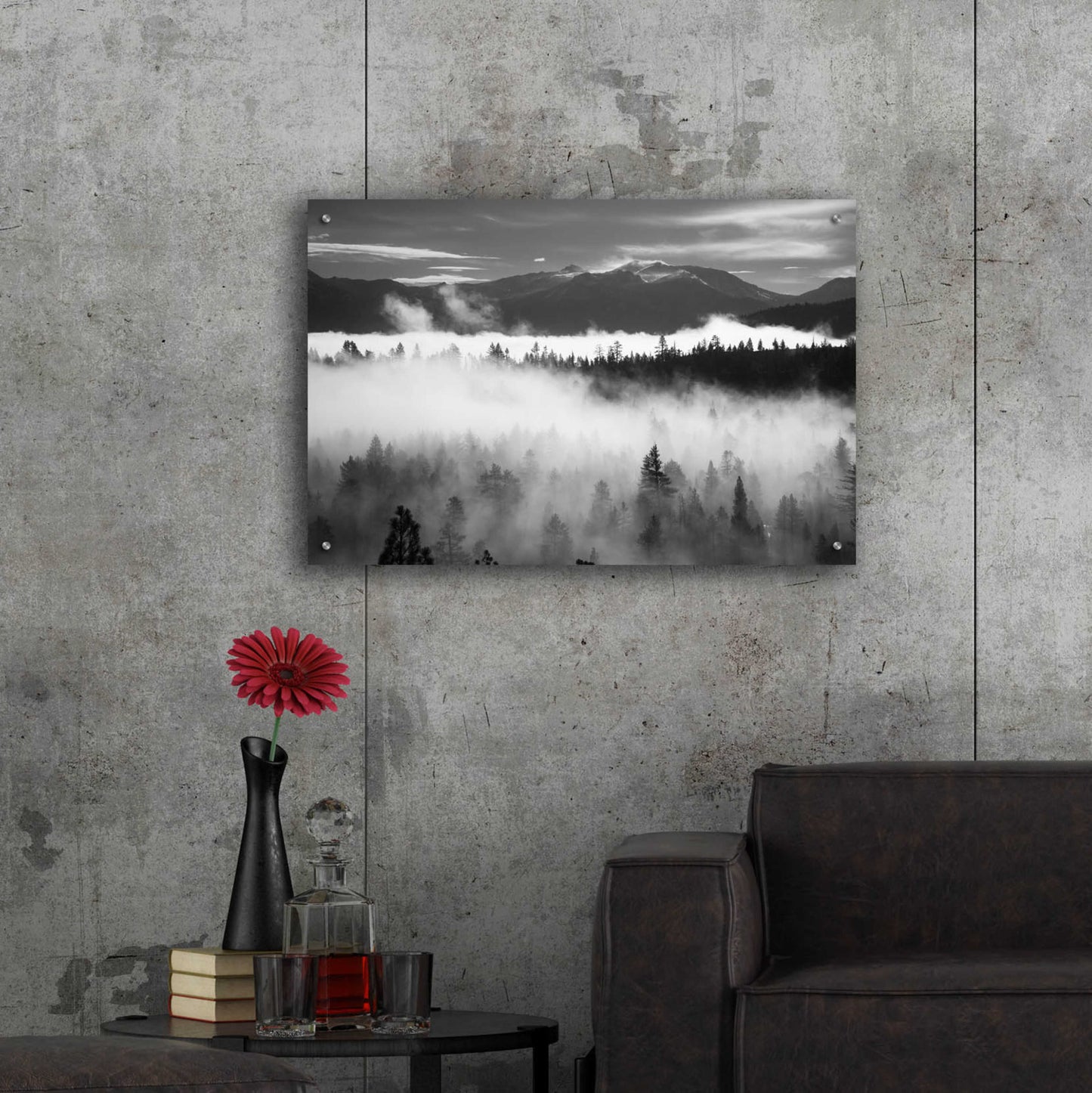 Epic Art 'Lake Tahoe Murky Mornings' by Edin Chavez, Acrylic Glass Wall Art,36x24