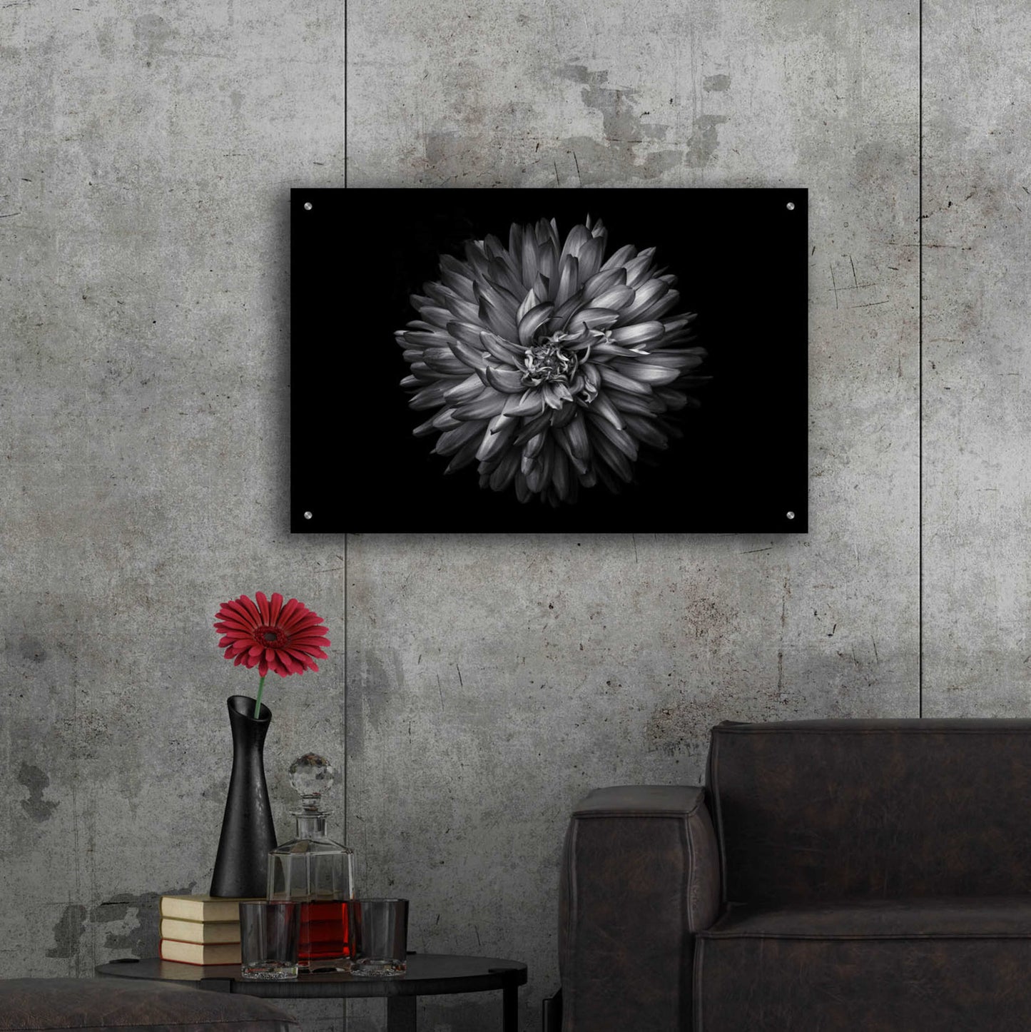 Epic Art 'Backyard Flowers In Black And White 20' by Brian Carson, Acrylic Glass Wall Art,36x24