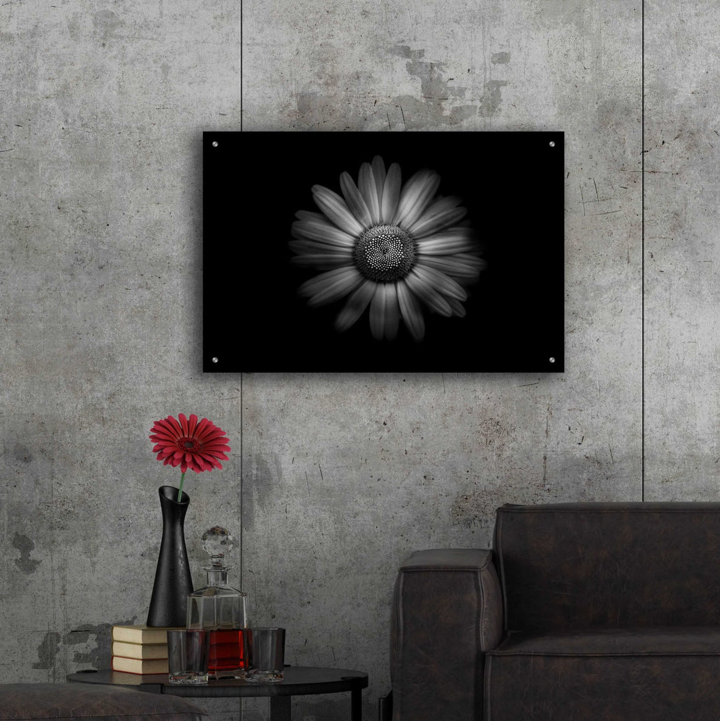 Epic Art 'Backyard Flowers In Black And White 31' by Brian Carson, Acrylic Glass Wall Art,36x24