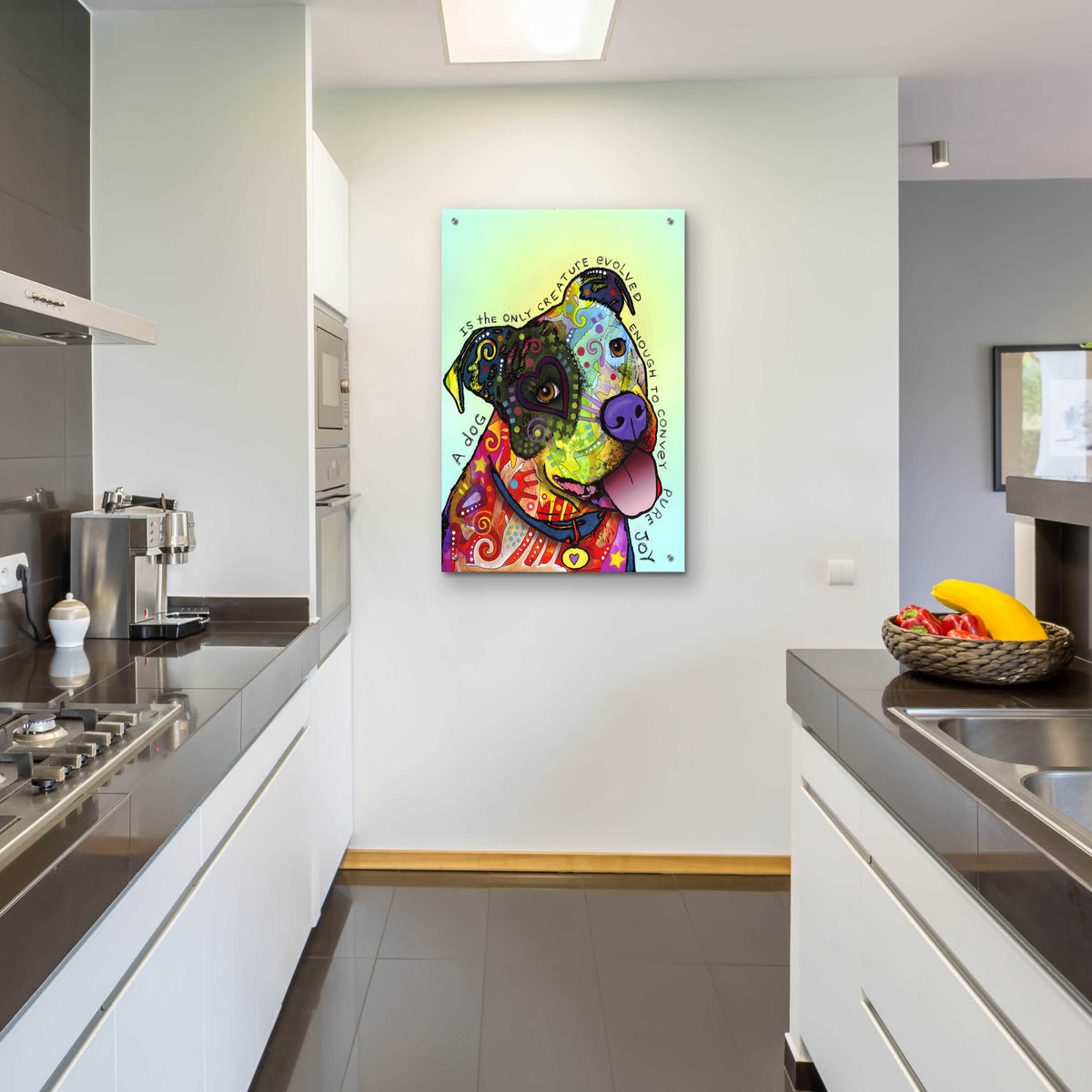 Epic Art 'Pure Joy' by Dean Russo, Acrylic Glass Wall Art,24x36
